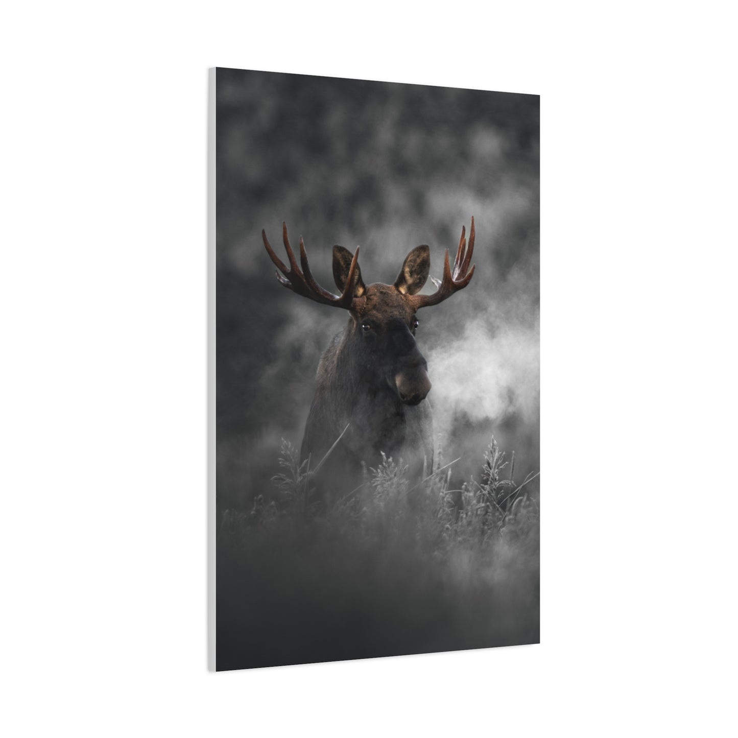 Mighty Moose