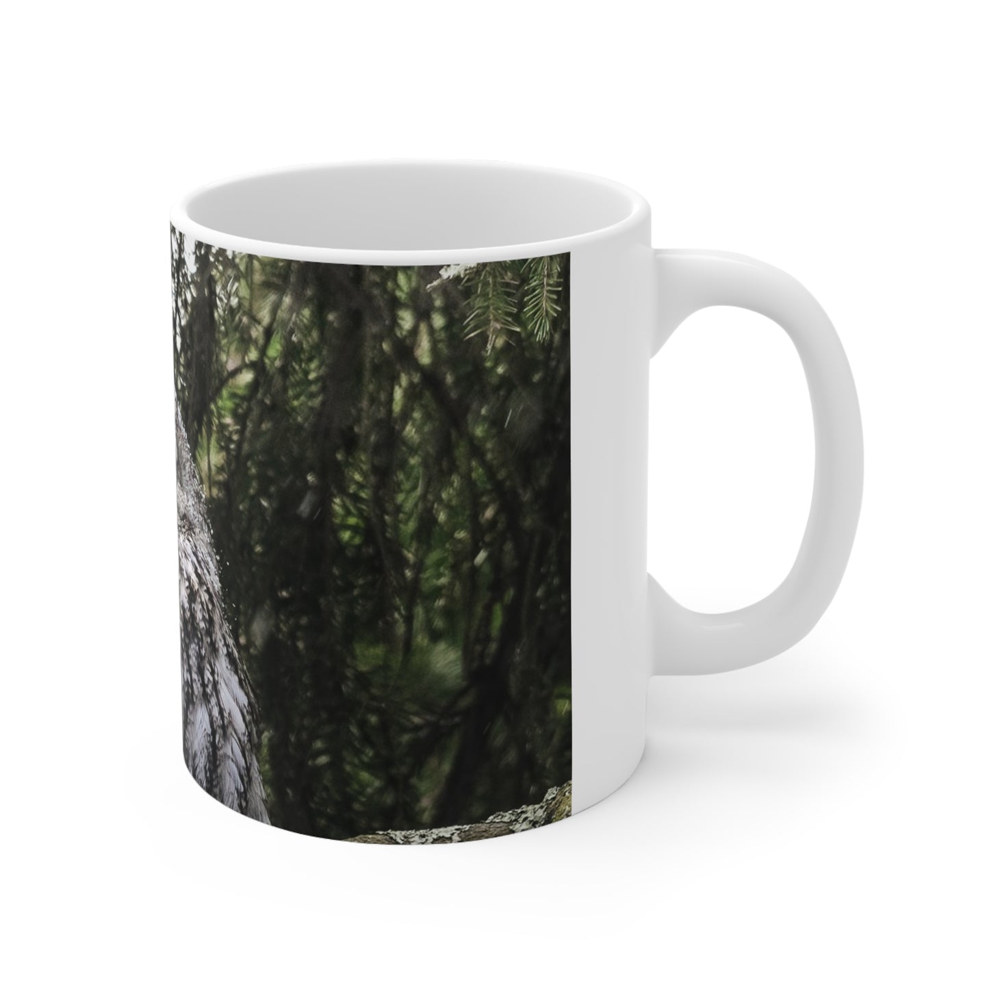 Sleepy Owl Ceramic Coffee Cups, 11oz, 15oz