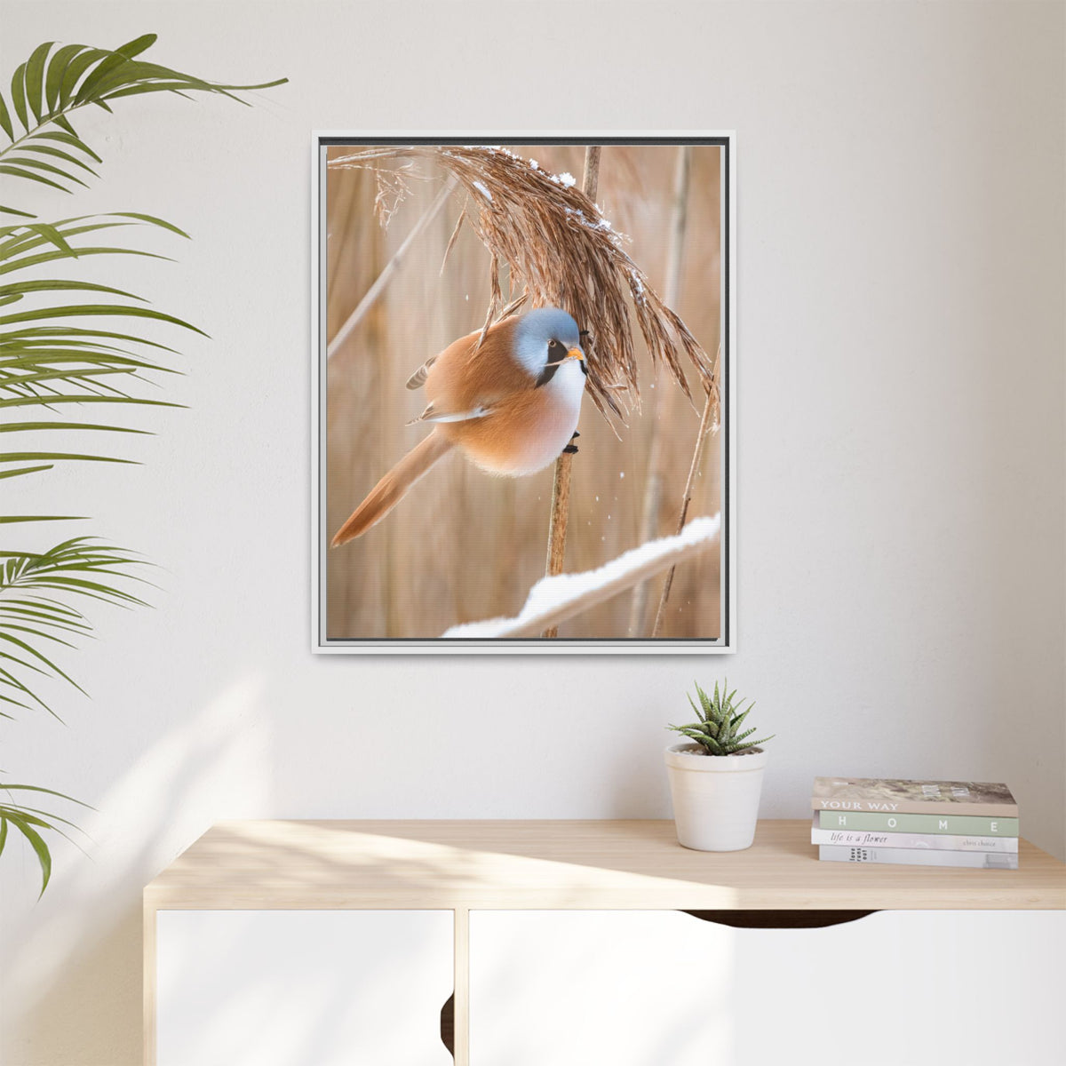 Framed Matte Canvas - Bearded Reedling Bird Photography (Winter Marsh)