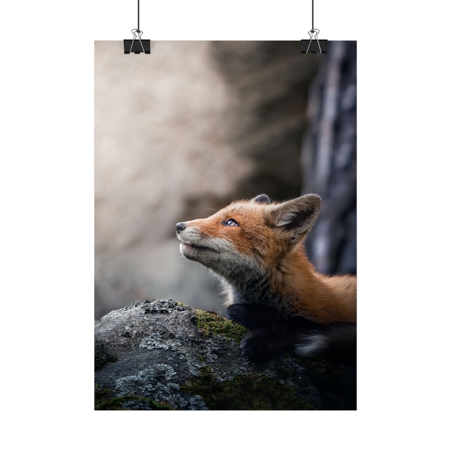 Into The Light poster