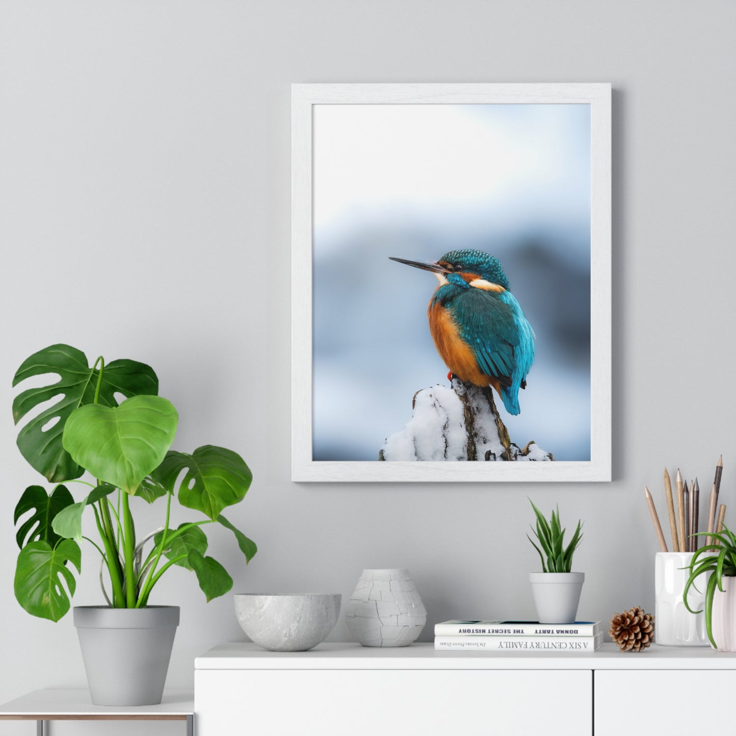 Kingfisher posing
