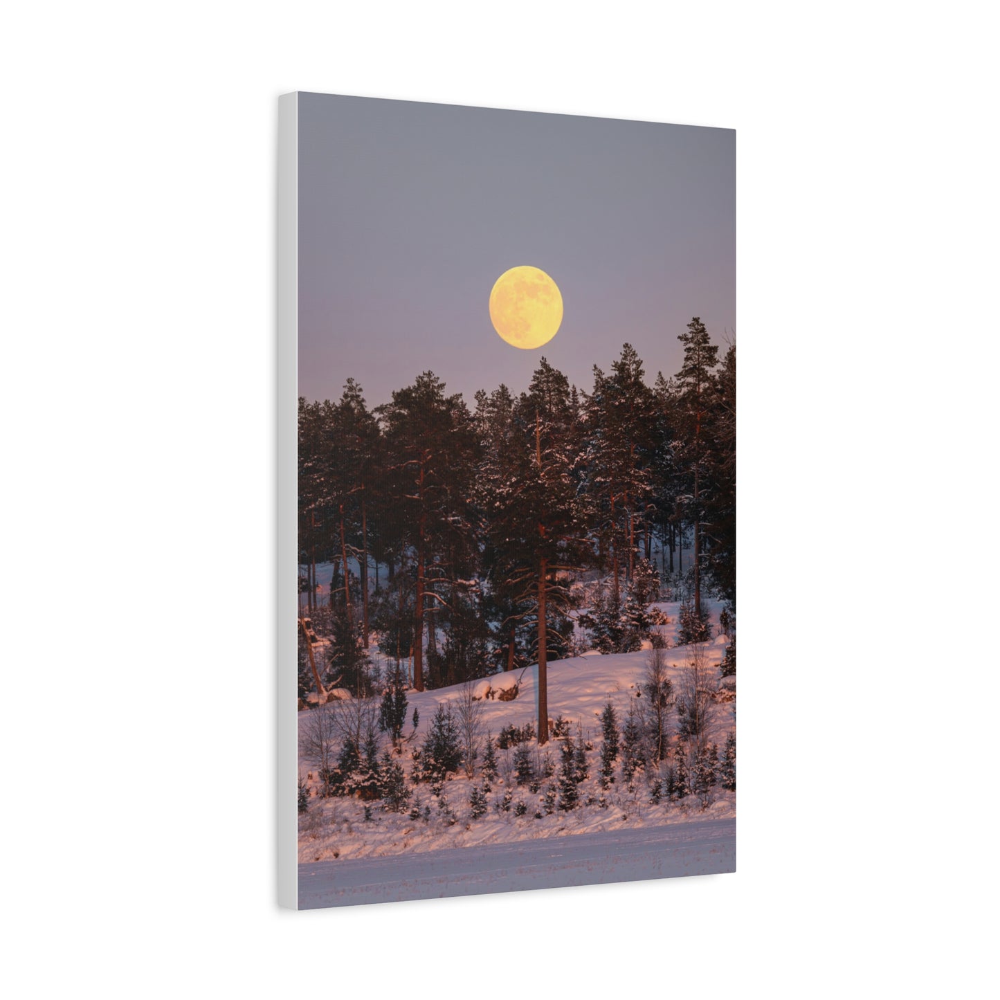 Winter Moonrise