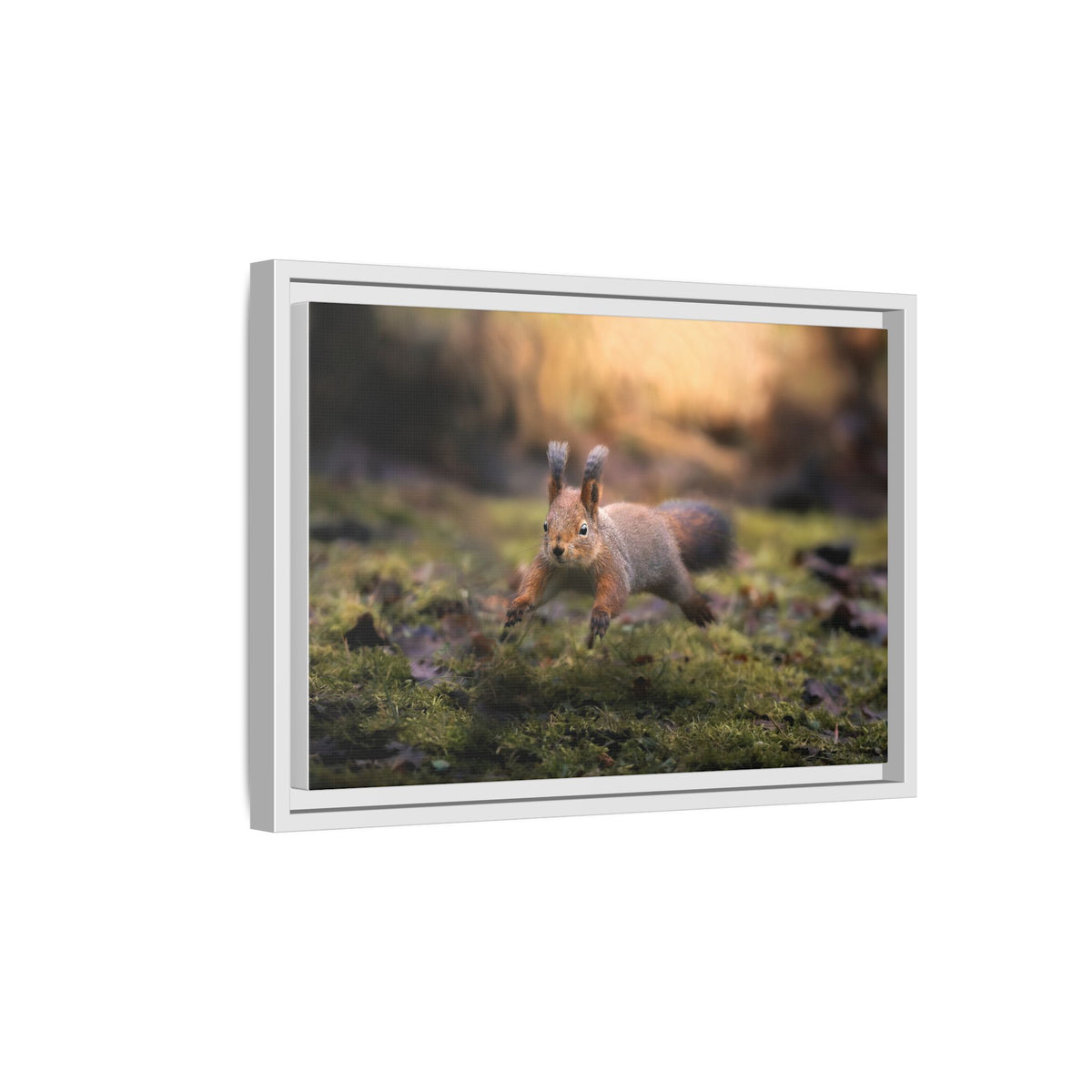 Framed Matte Canvas – Red Squirrel in Mossy Forest Wall Art