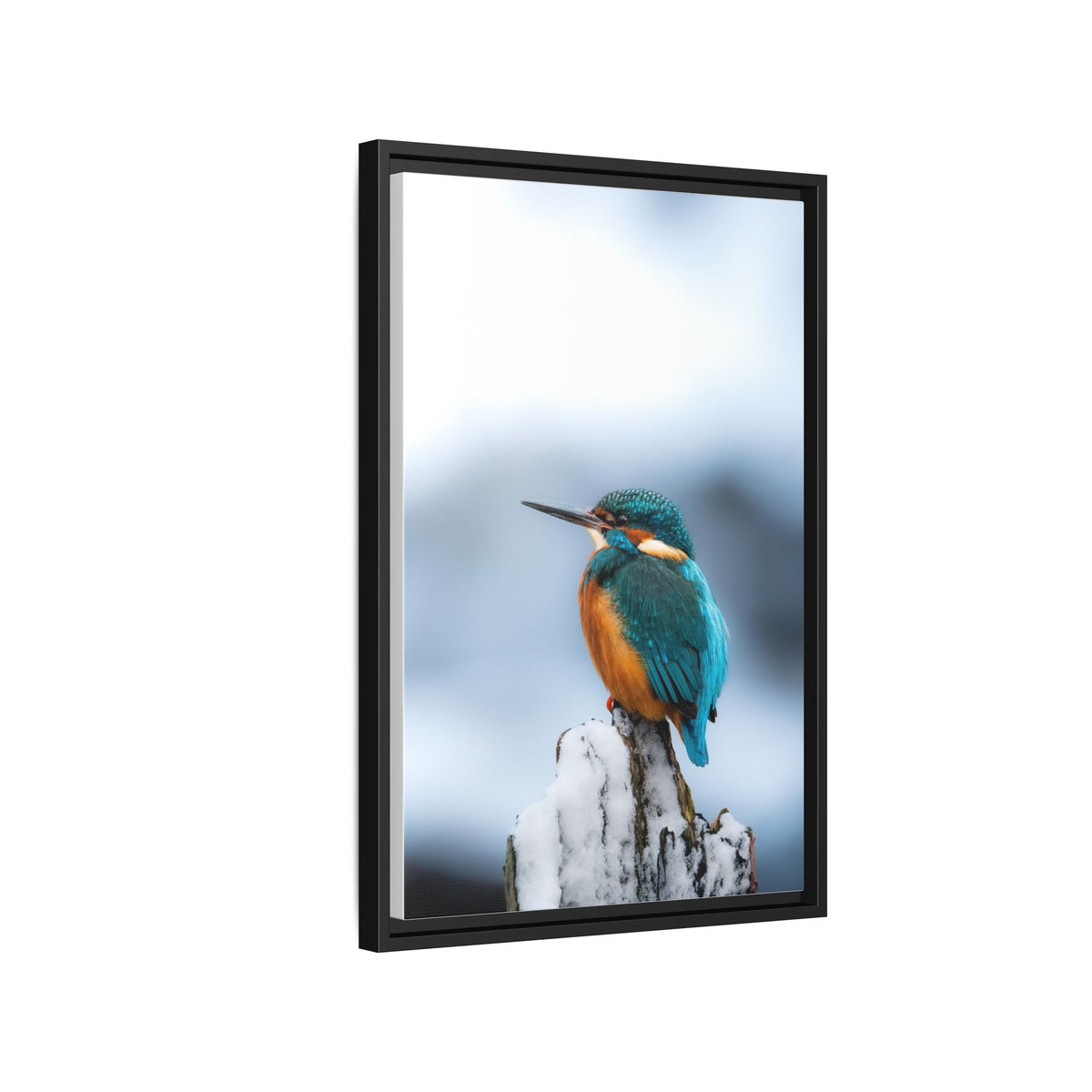 Framed Kingfisher Canvas Print — Matte Nature Wall Art