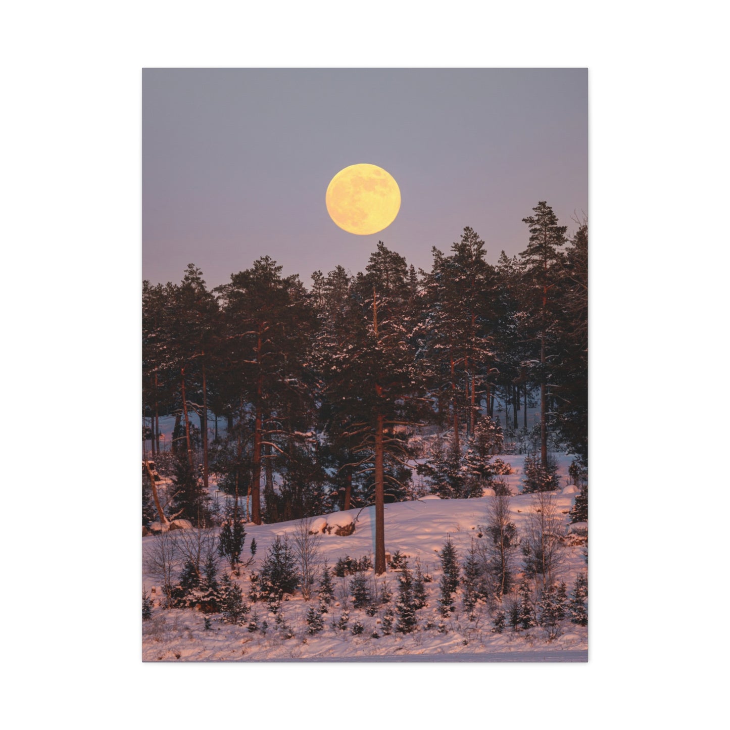 Winter Moonrise