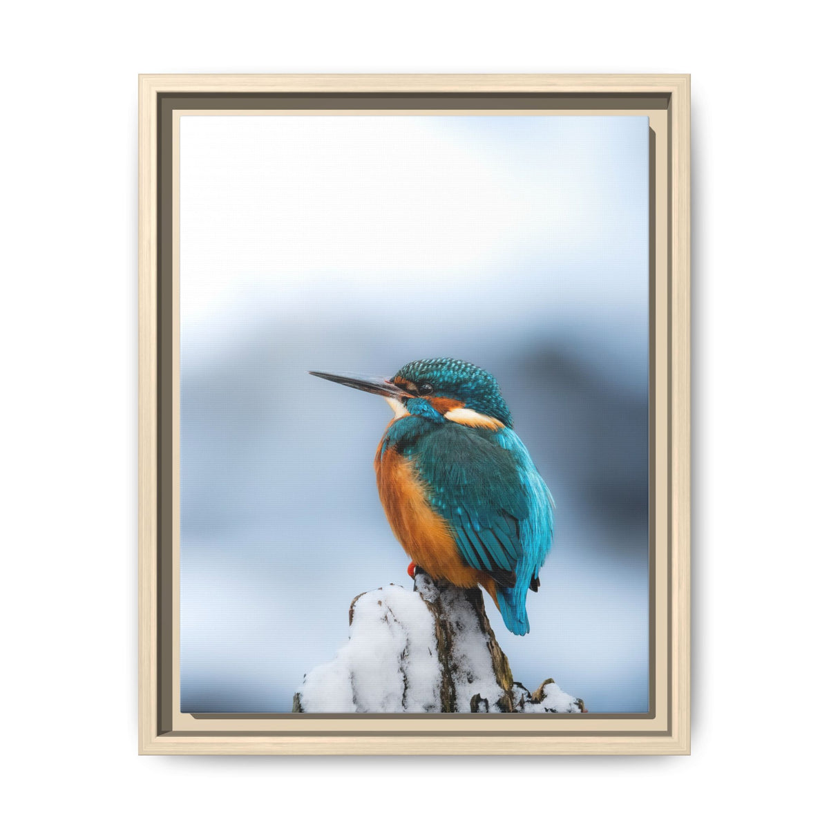 Framed Kingfisher Canvas Print — Matte Nature Wall Art