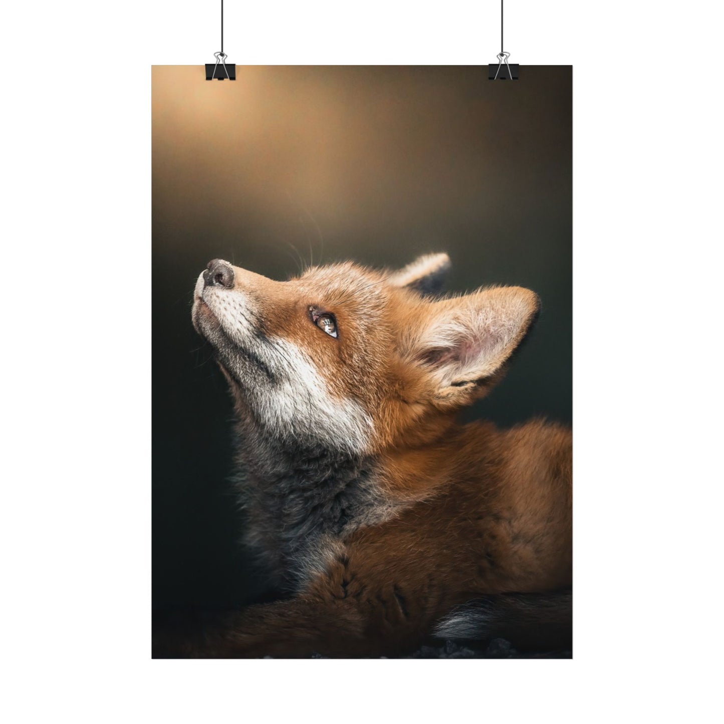 Believer poster