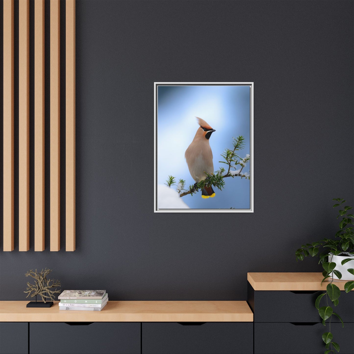 Bohemian Waxwing
