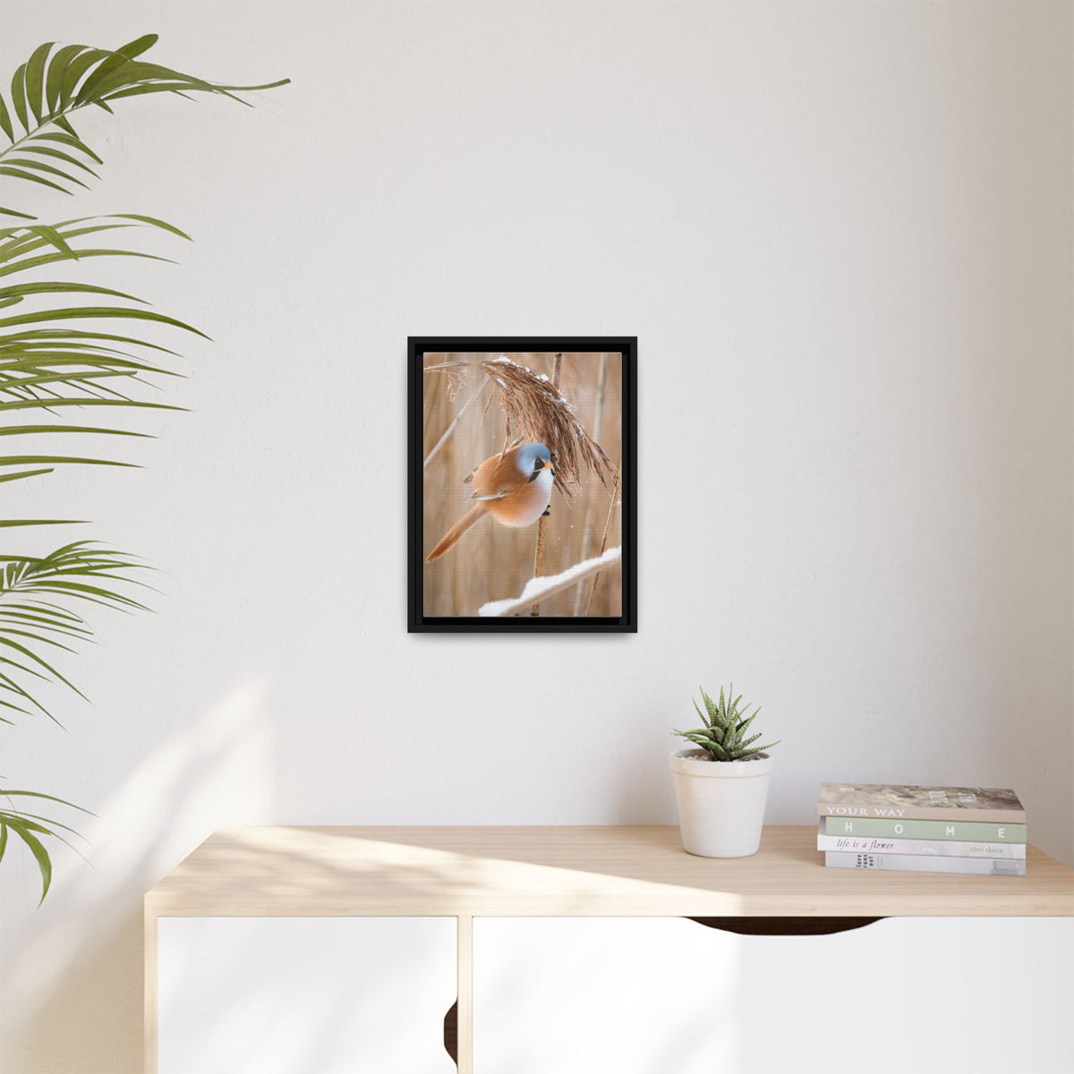 Framed Matte Canvas - Bearded Reedling Bird Photography (Winter Marsh)