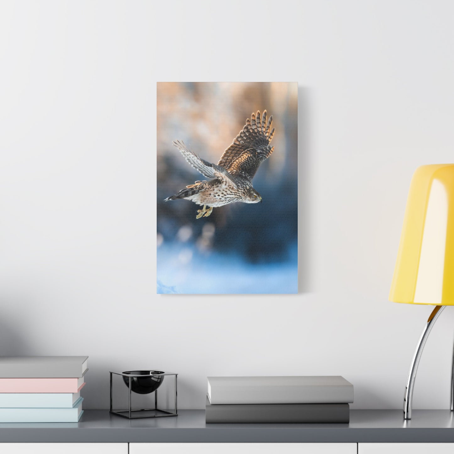 Bird of prey winter edition