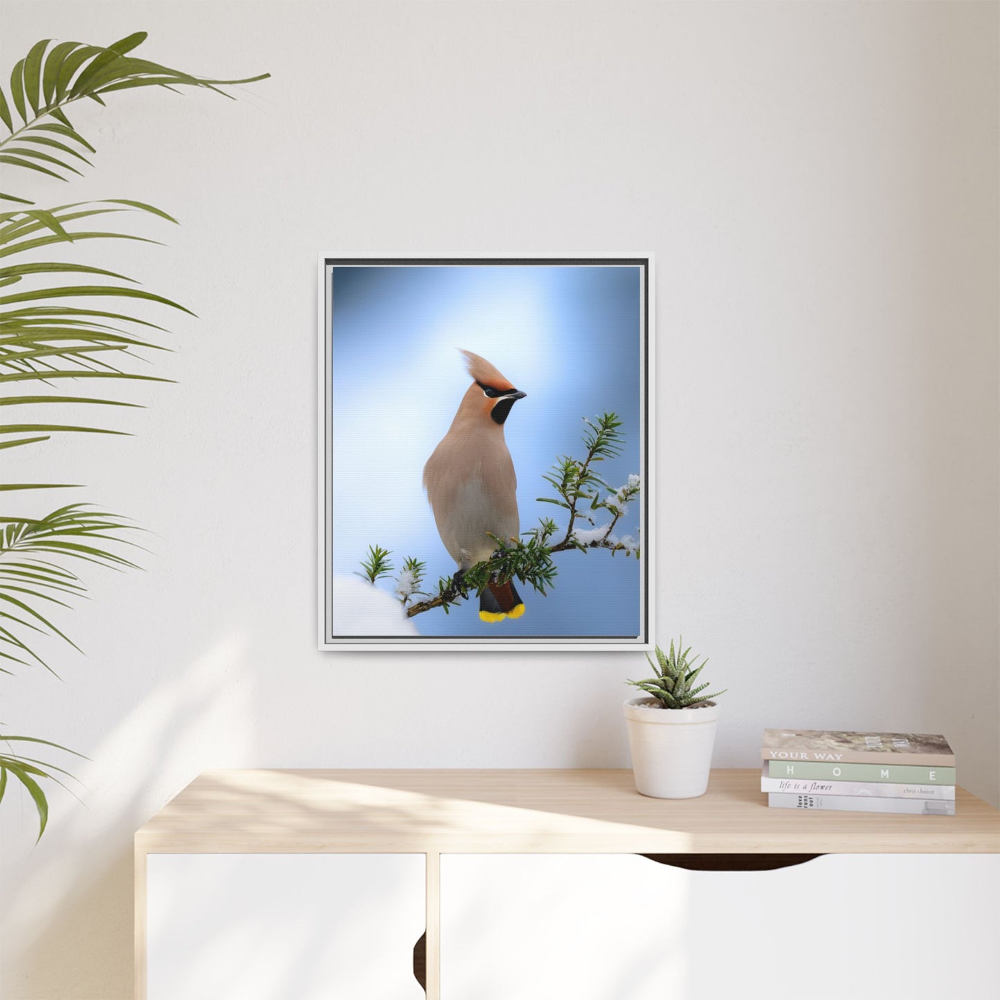 Bohemian Waxwing
