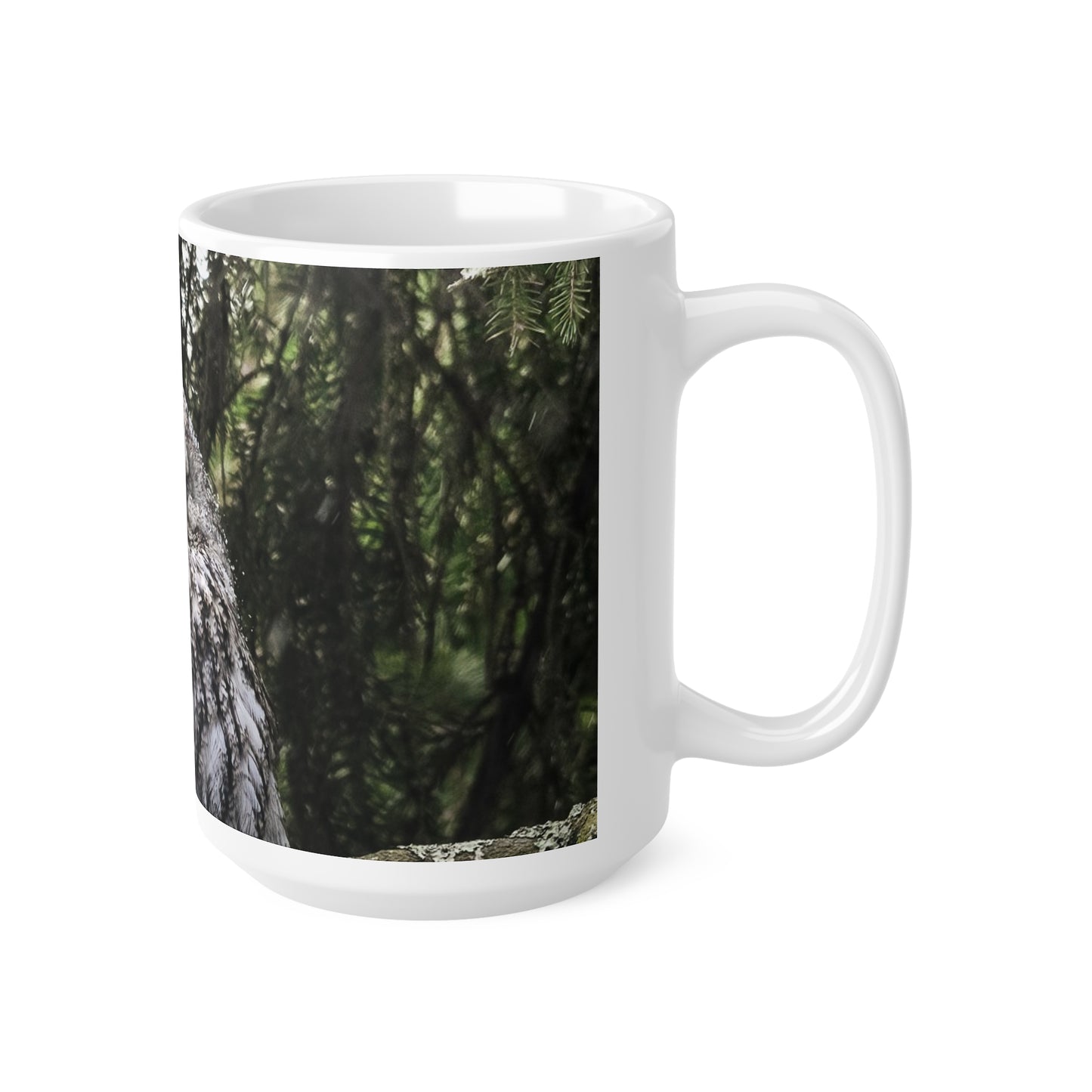 Sleepy Owl Ceramic Coffee Cups, 11oz, 15oz