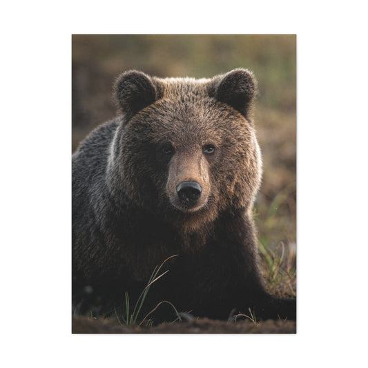 Big ol' teddybear