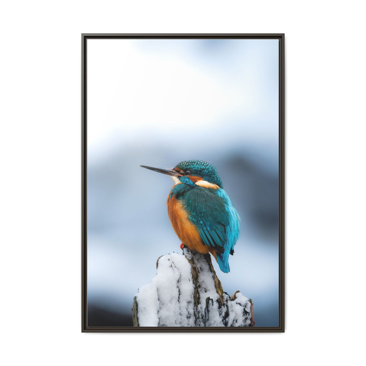 Framed Kingfisher Canvas Print — Matte Nature Wall Art
