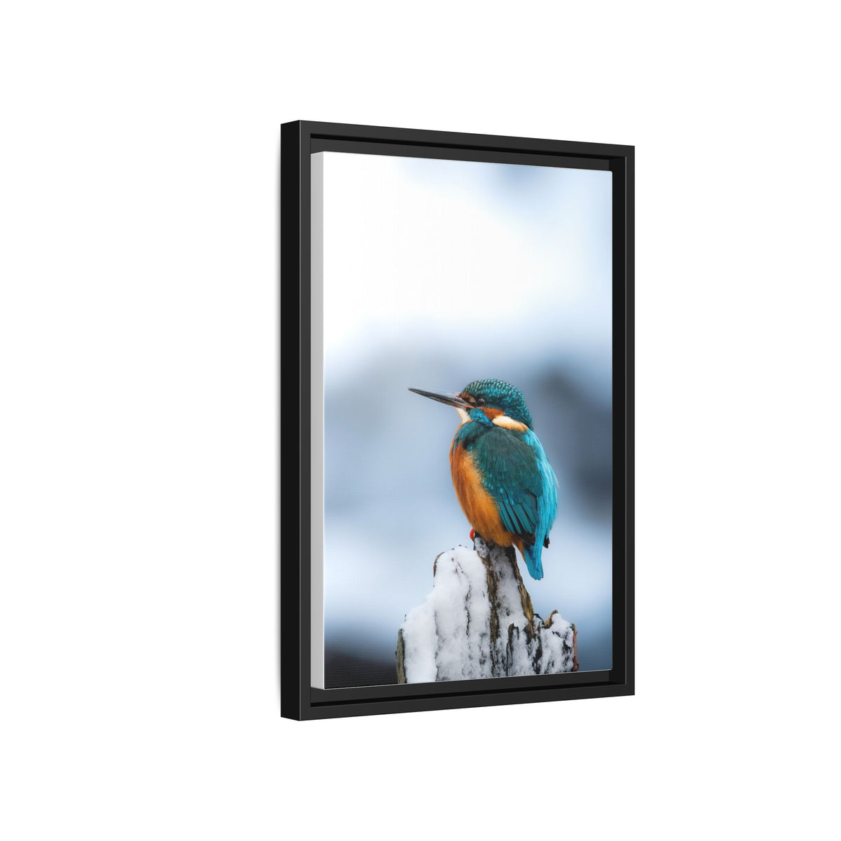 Framed Kingfisher Canvas Print — Matte Nature Wall Art
