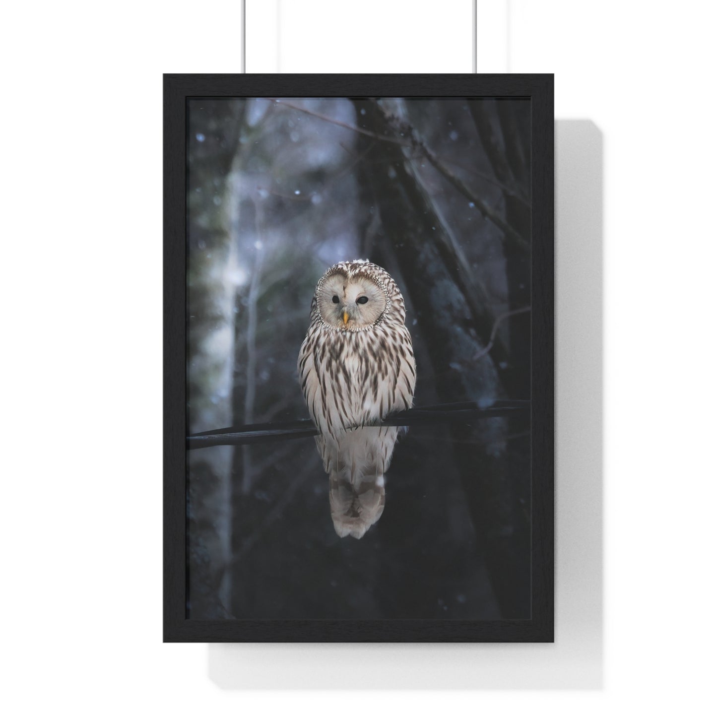 Winter Owl