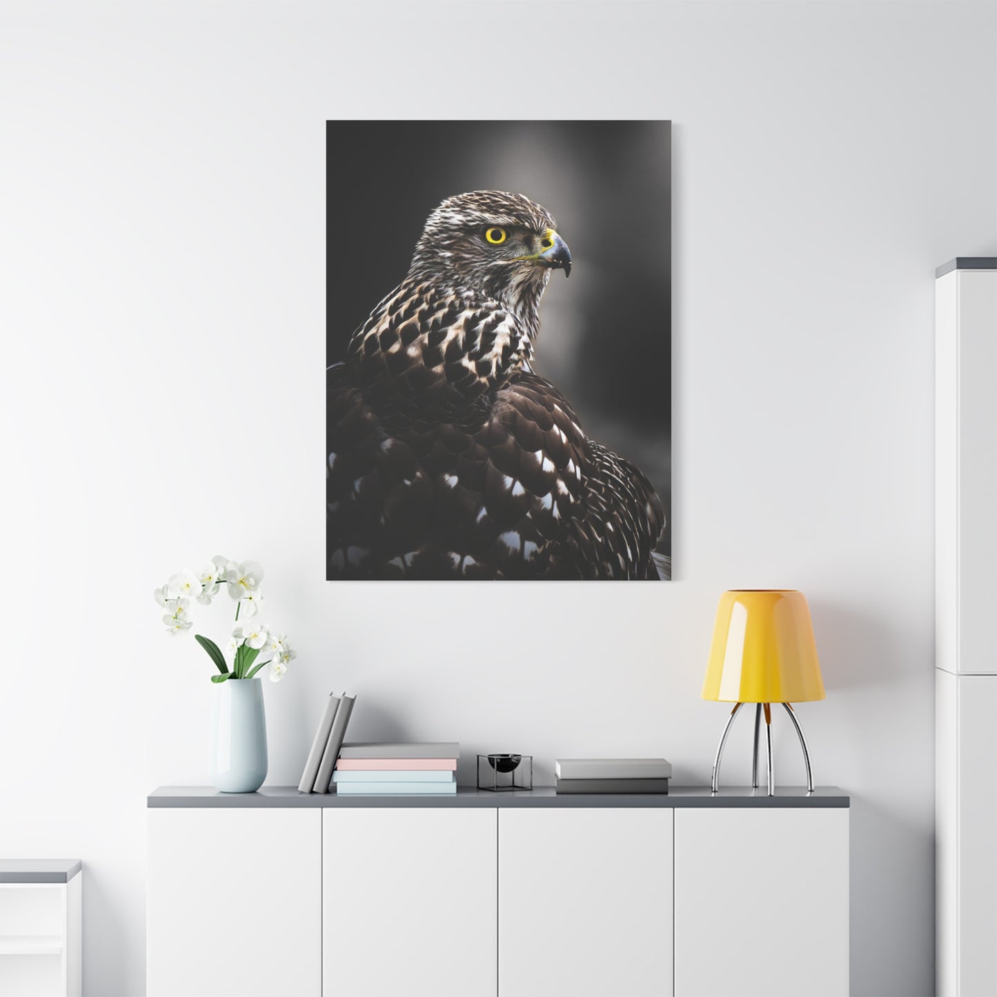 Close up Goshawk