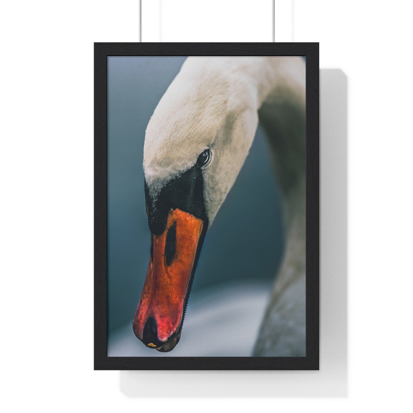 Stillness Framed