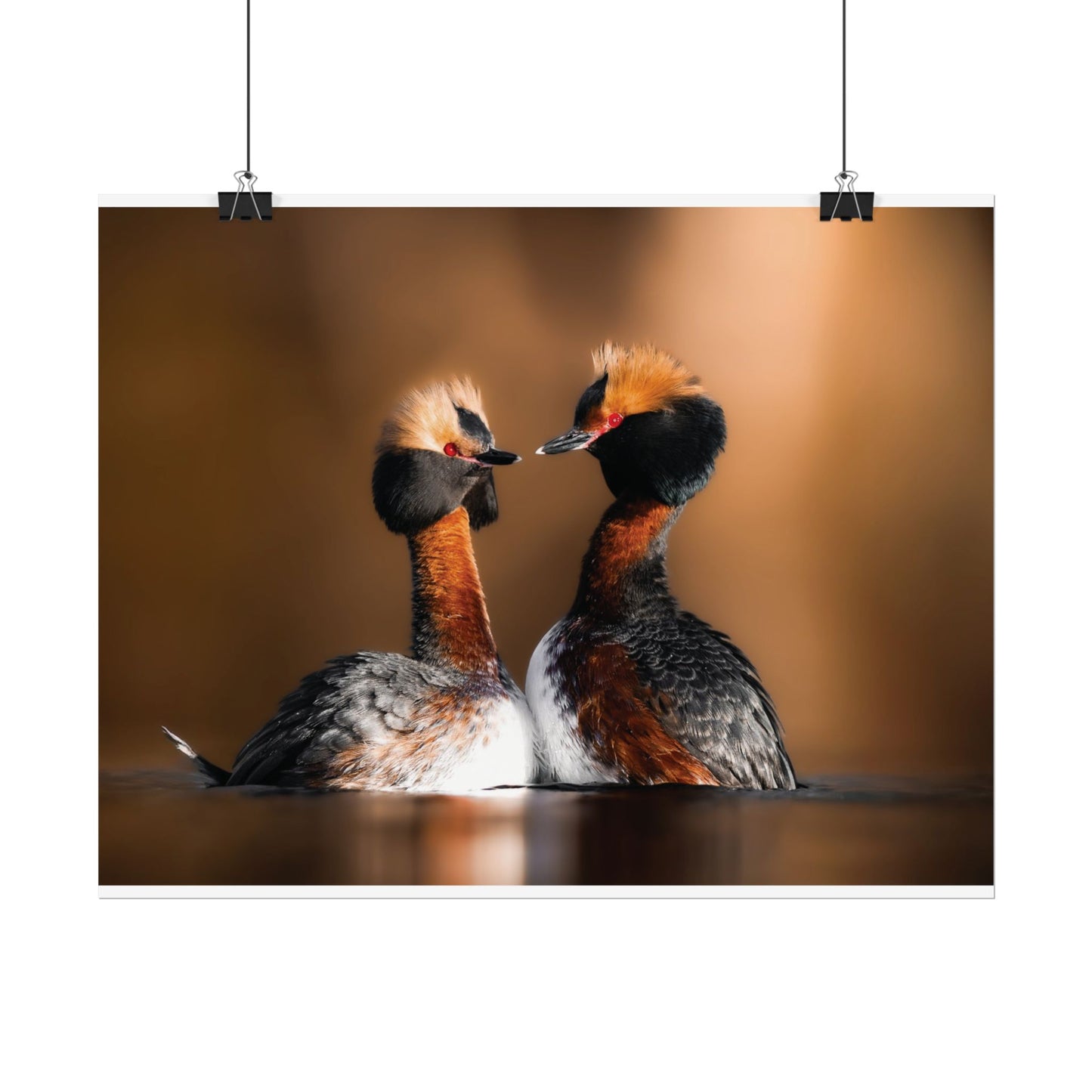 Mating Ritual poster