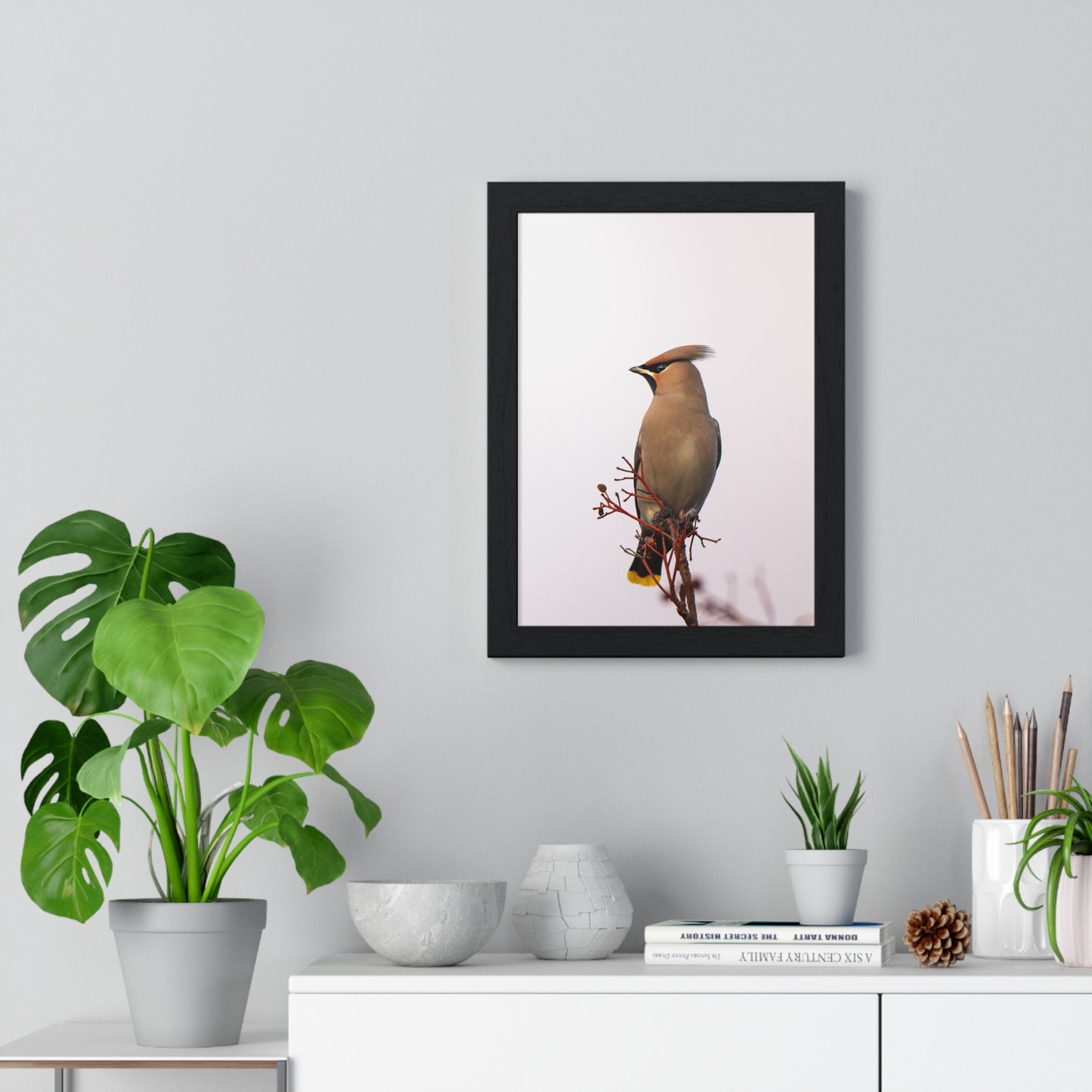 Bohemian Waxwing during sunset
