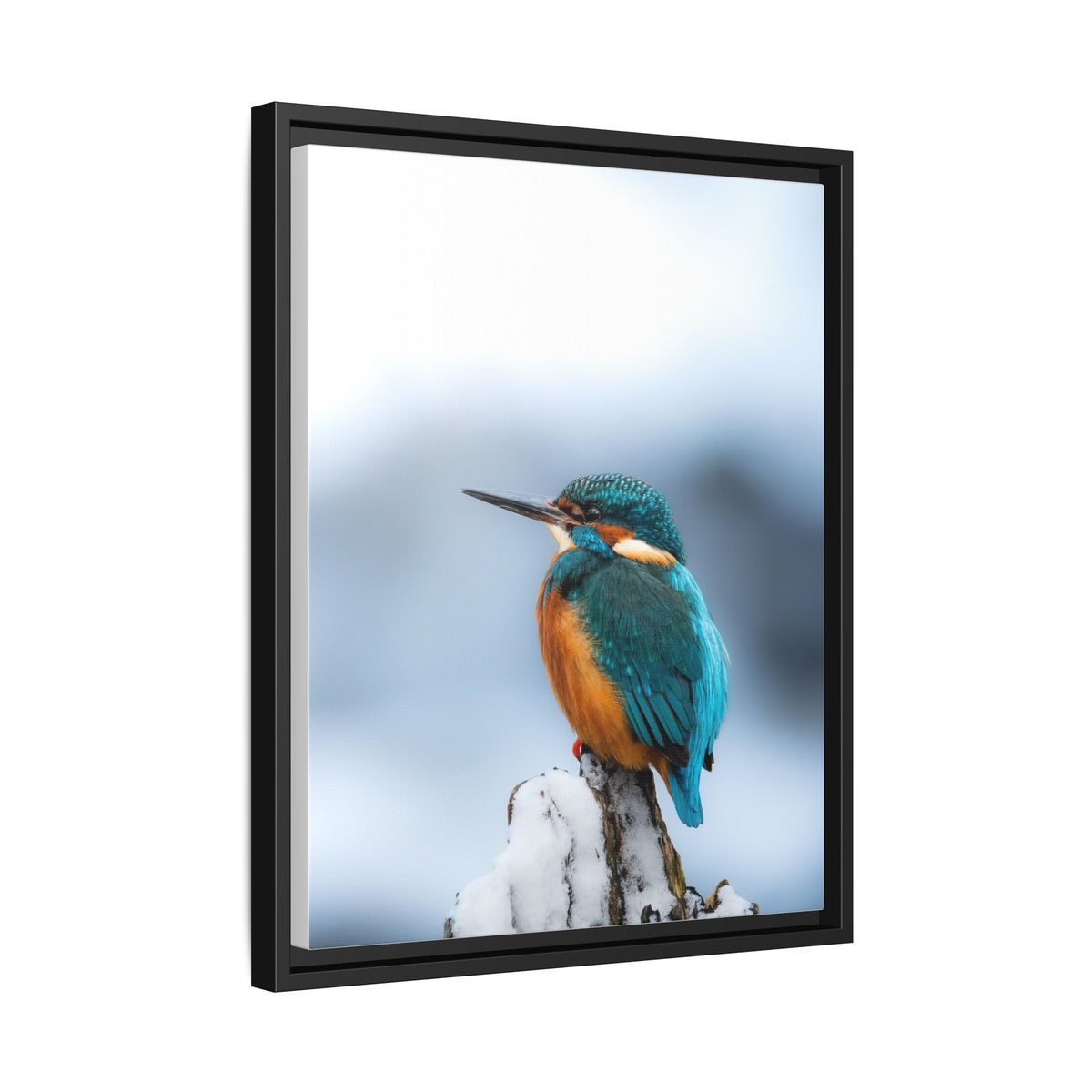 Framed Kingfisher Canvas Print — Matte Nature Wall Art