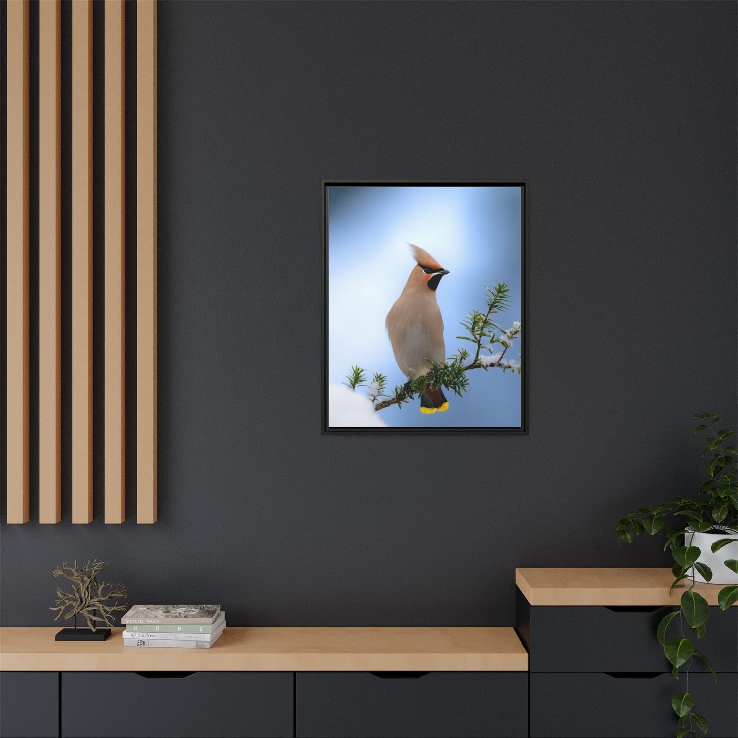 Bohemian Waxwing