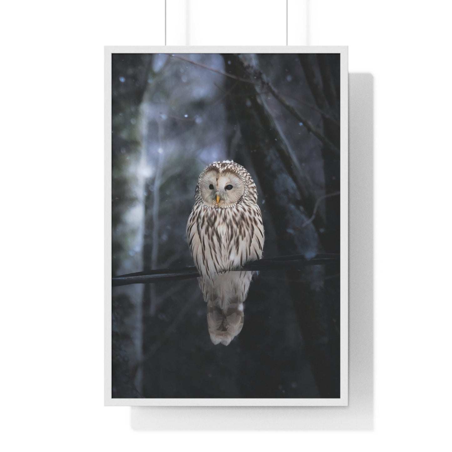 Winter Owl