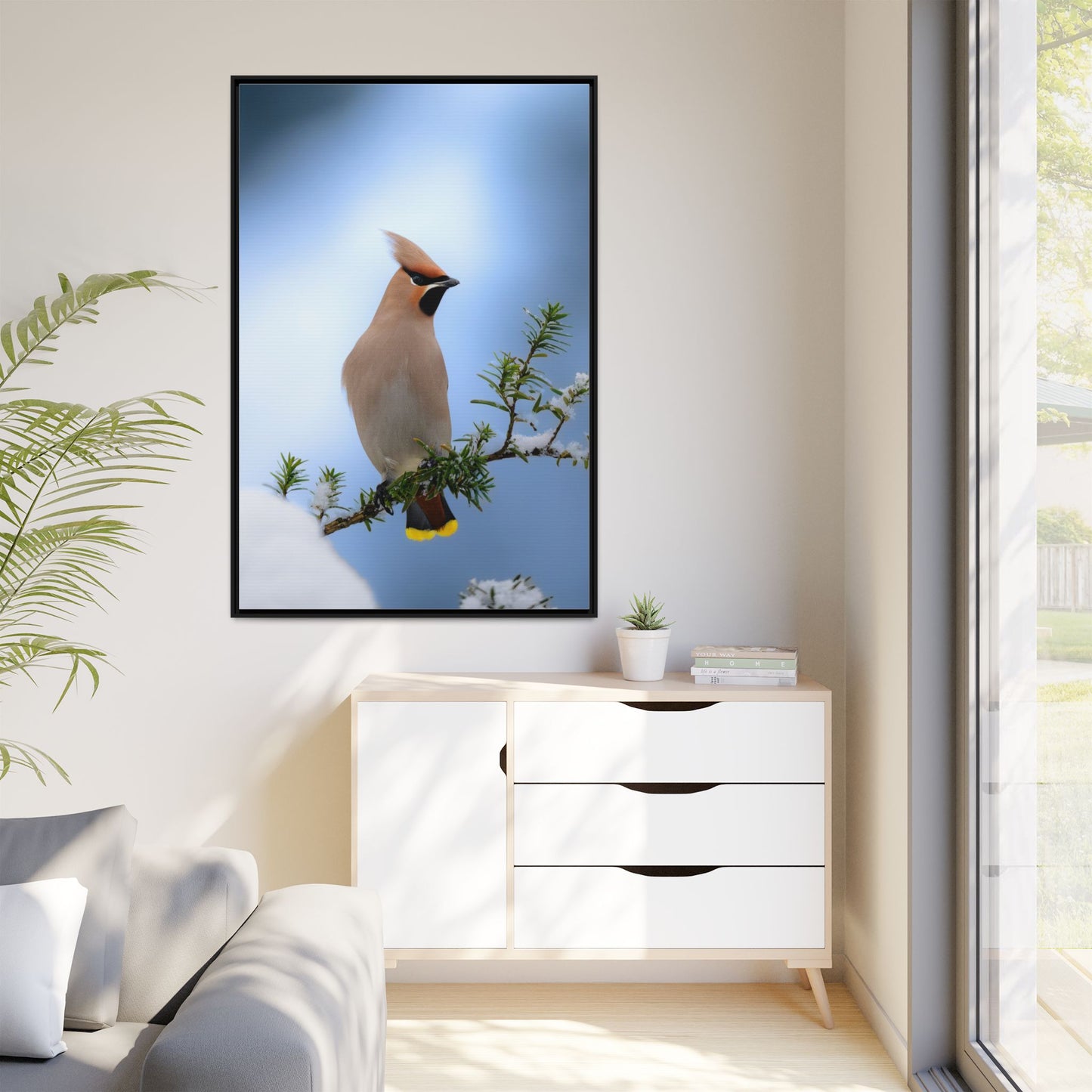 Bohemian Waxwing
