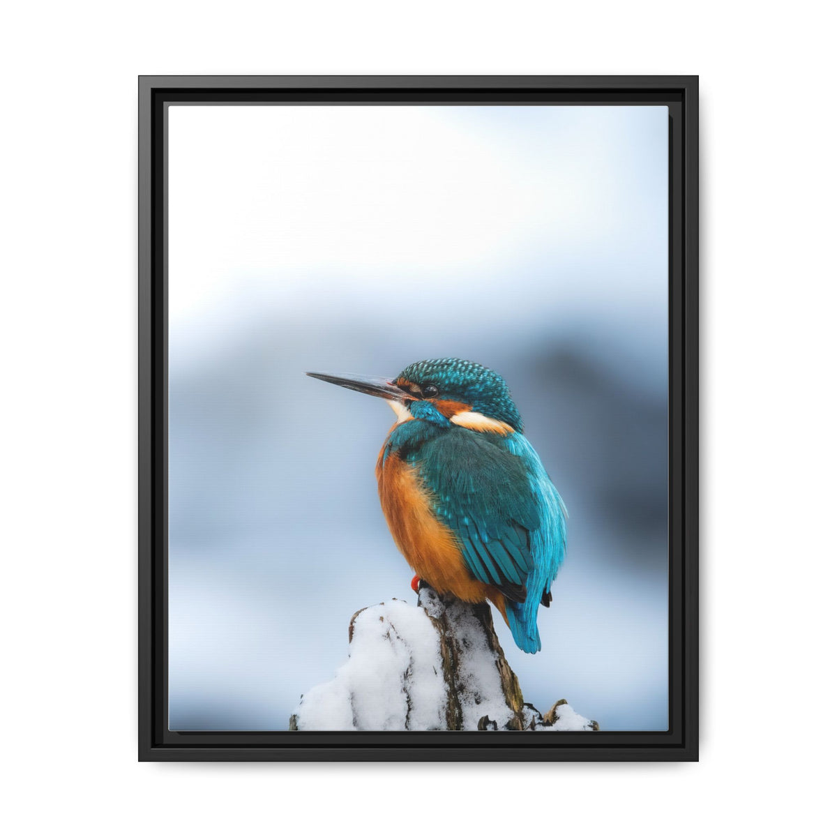 Framed Kingfisher Canvas Print — Matte Nature Wall Art