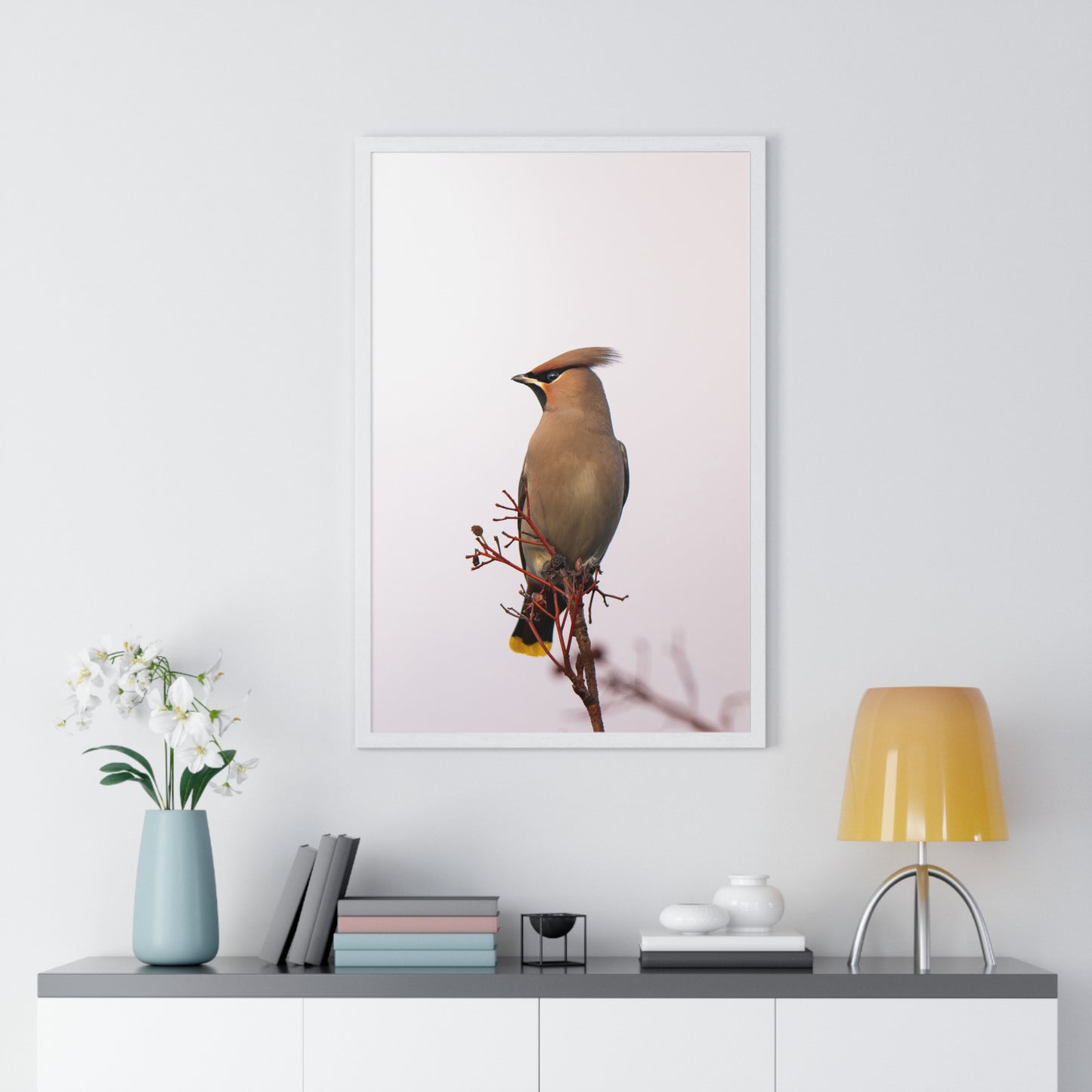 Bohemian Waxwing during sunset
