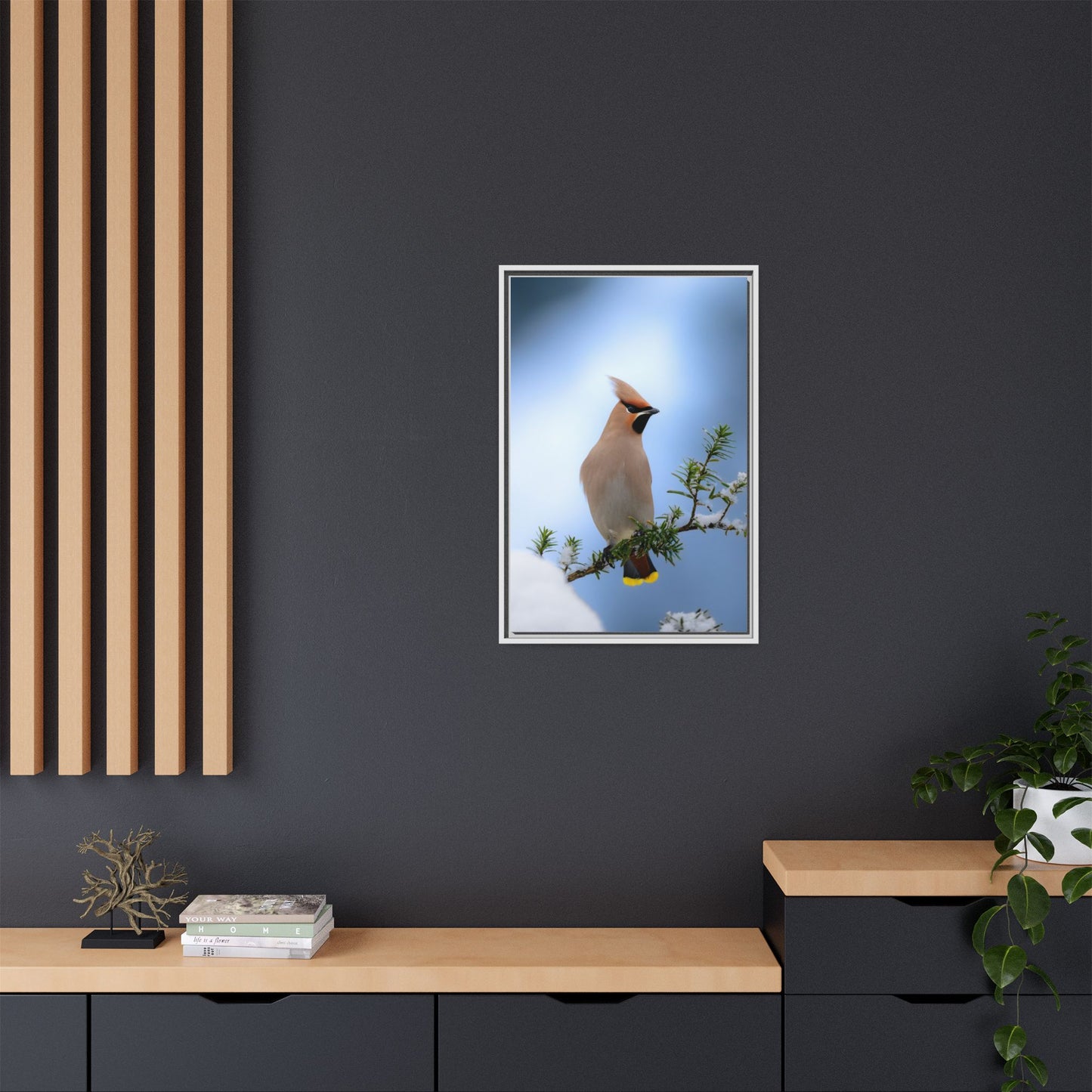 Bohemian Waxwing