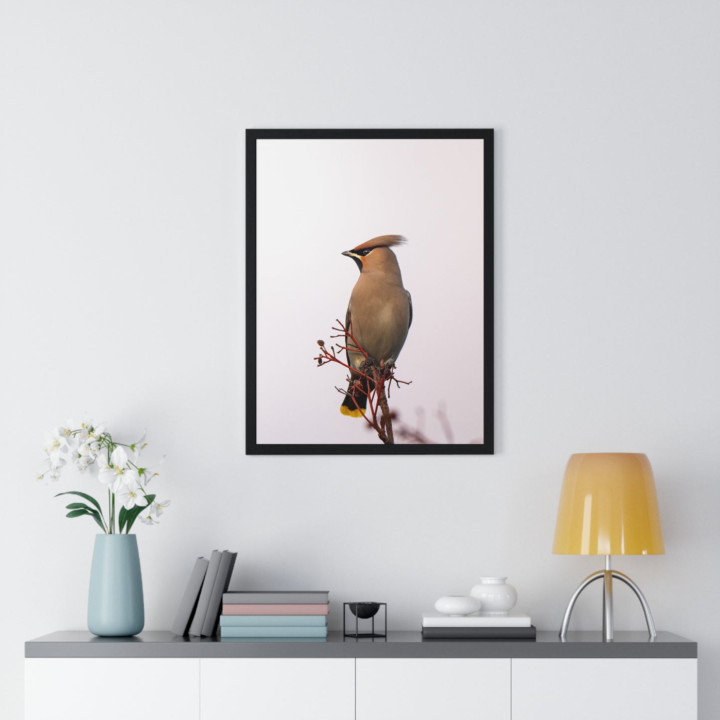 Bohemian Waxwing during sunset