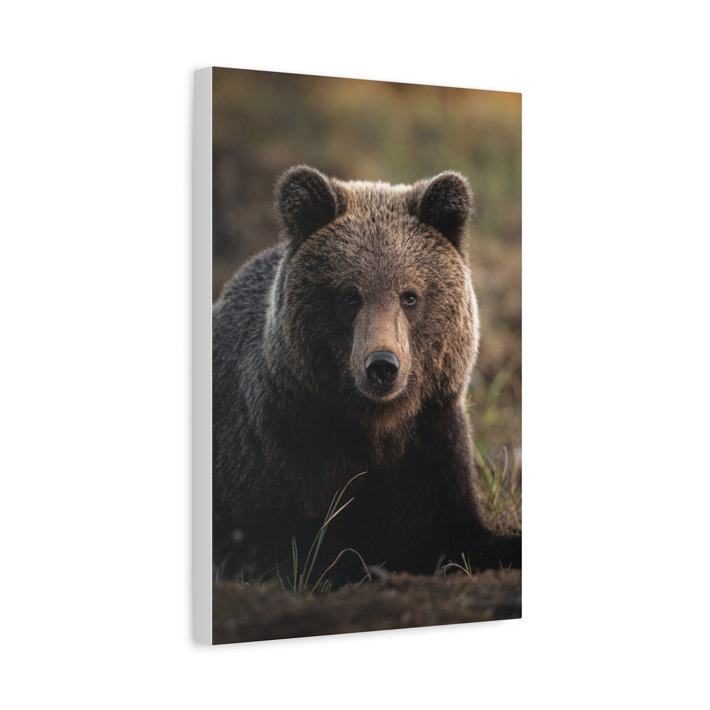 Big ol' teddybear