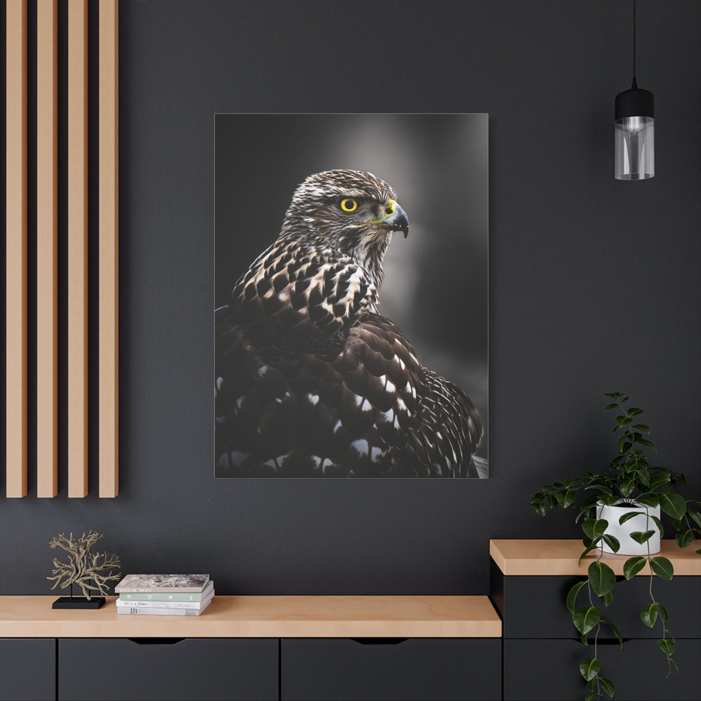 Close up Goshawk