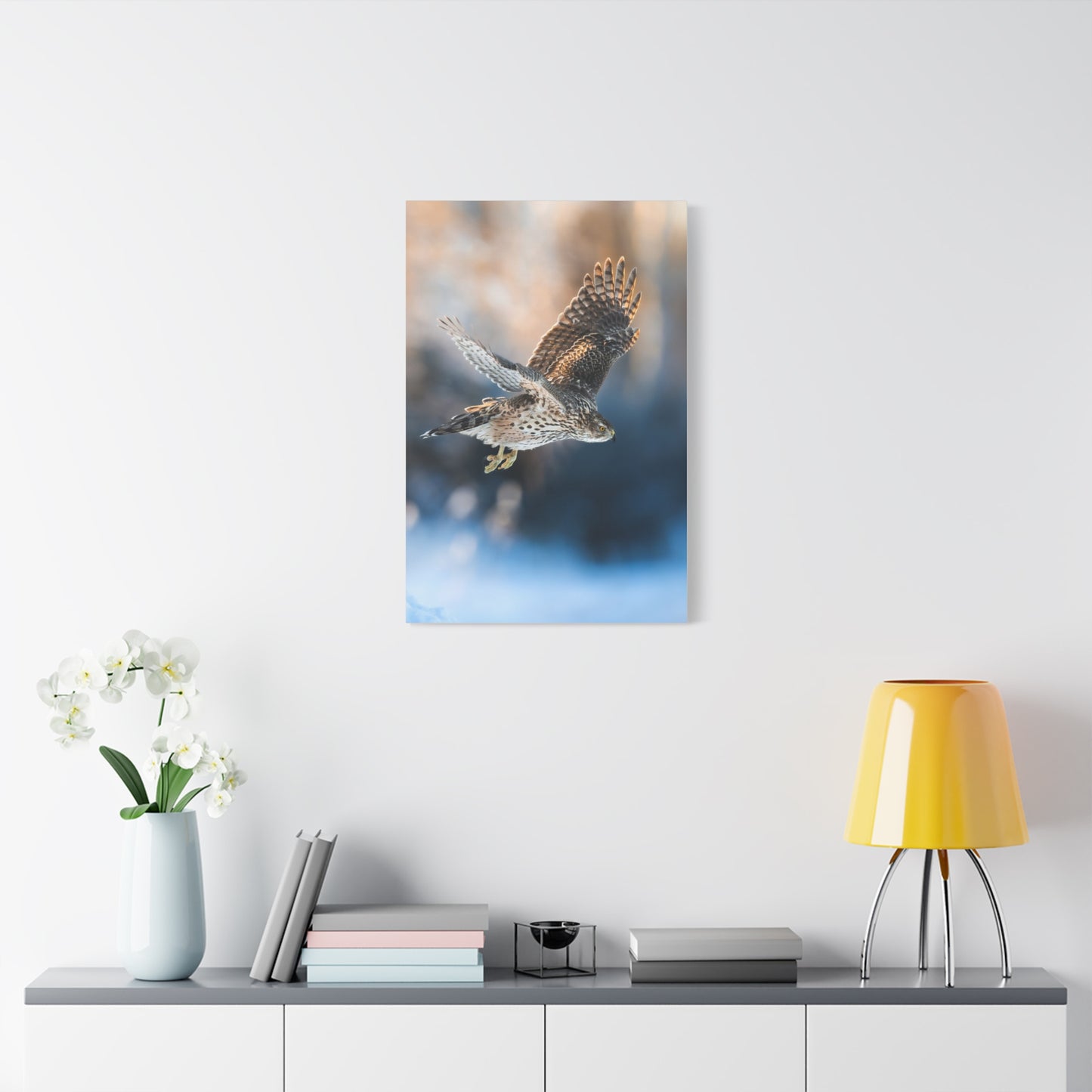 Bird of prey winter edition