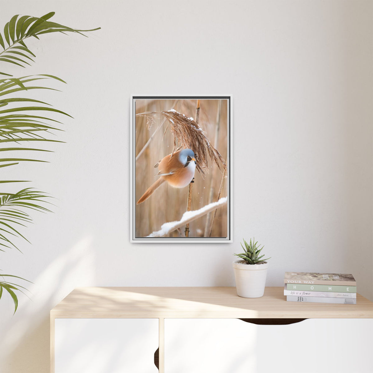 Framed Matte Canvas - Bearded Reedling Bird Photography (Winter Marsh)