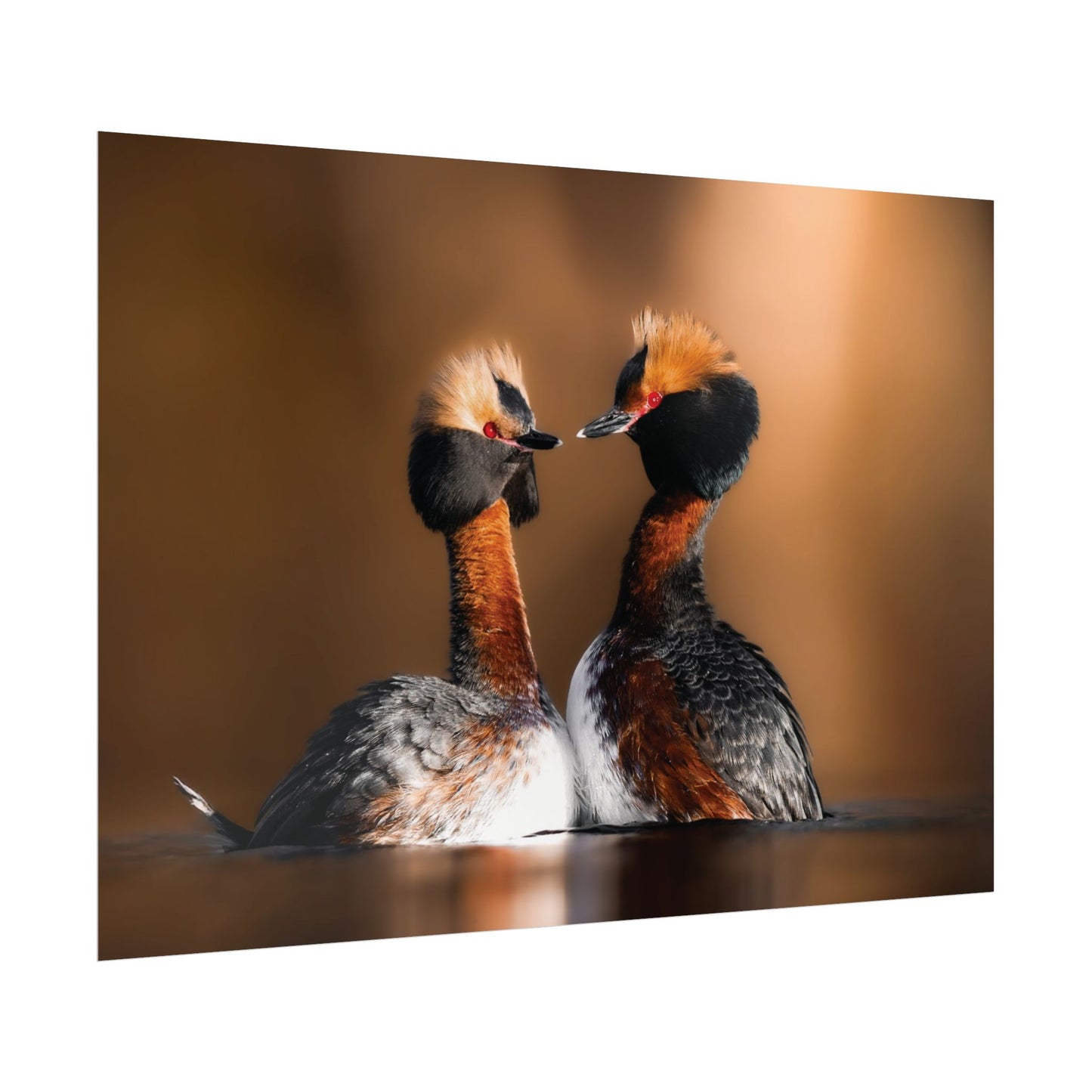 Mating Ritual poster