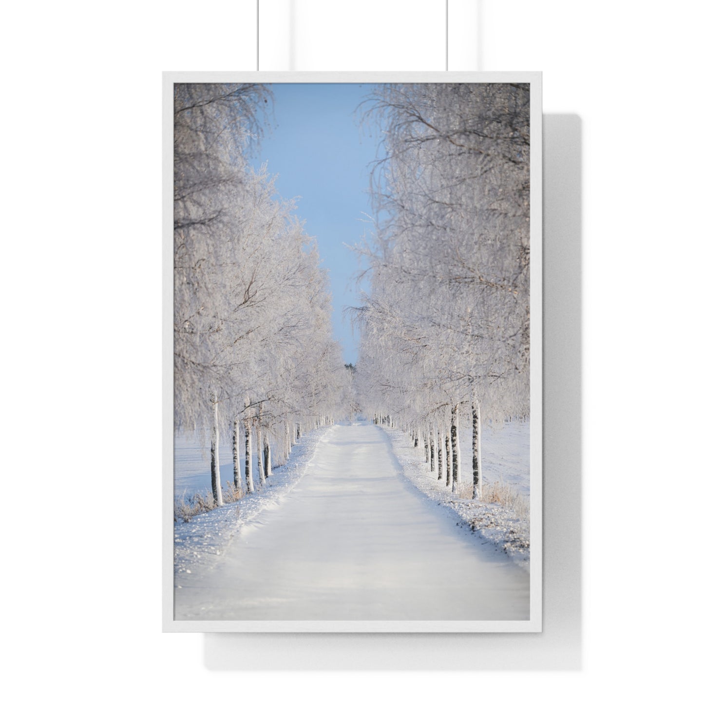 Winter Wonderland