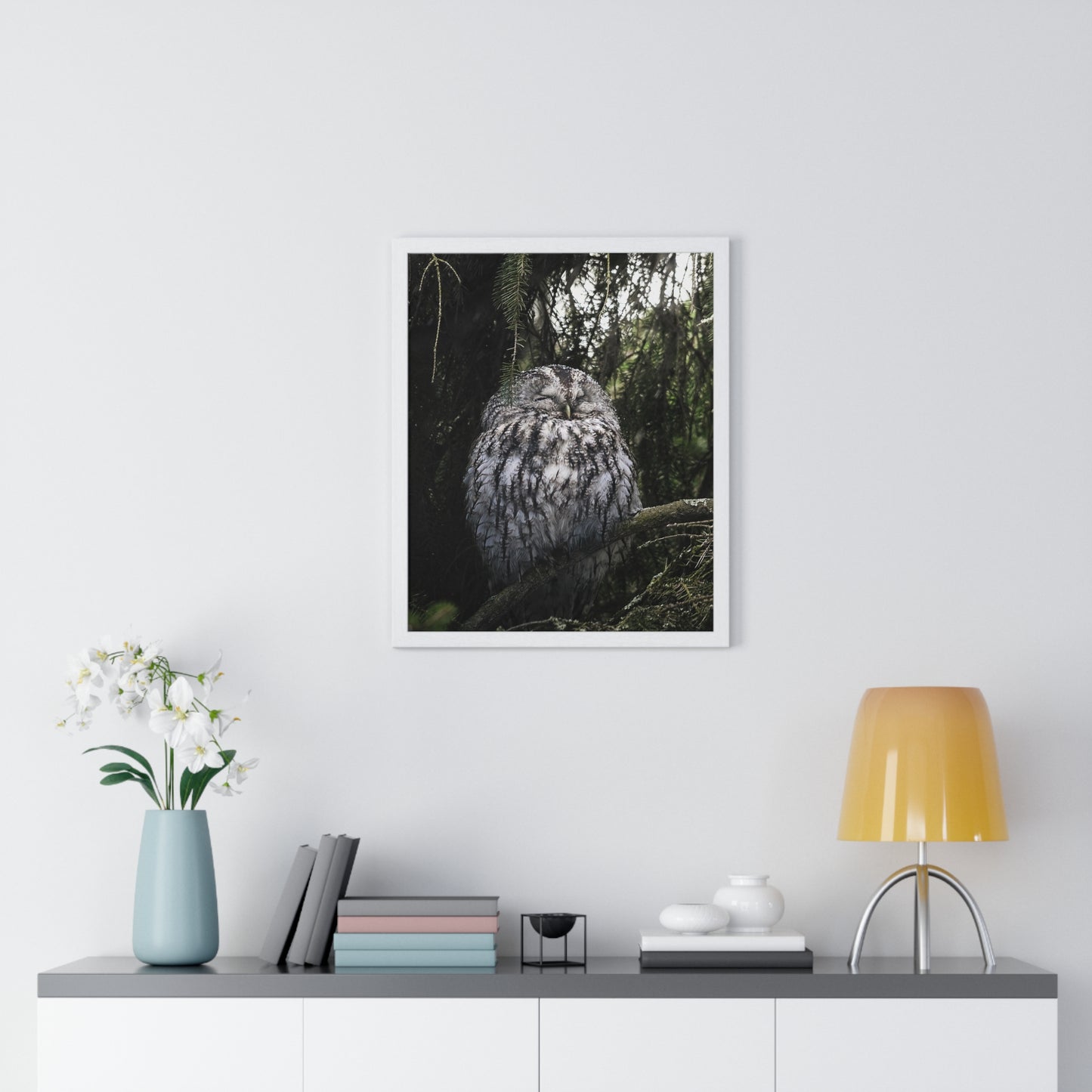 Sleepy Tawny Owl