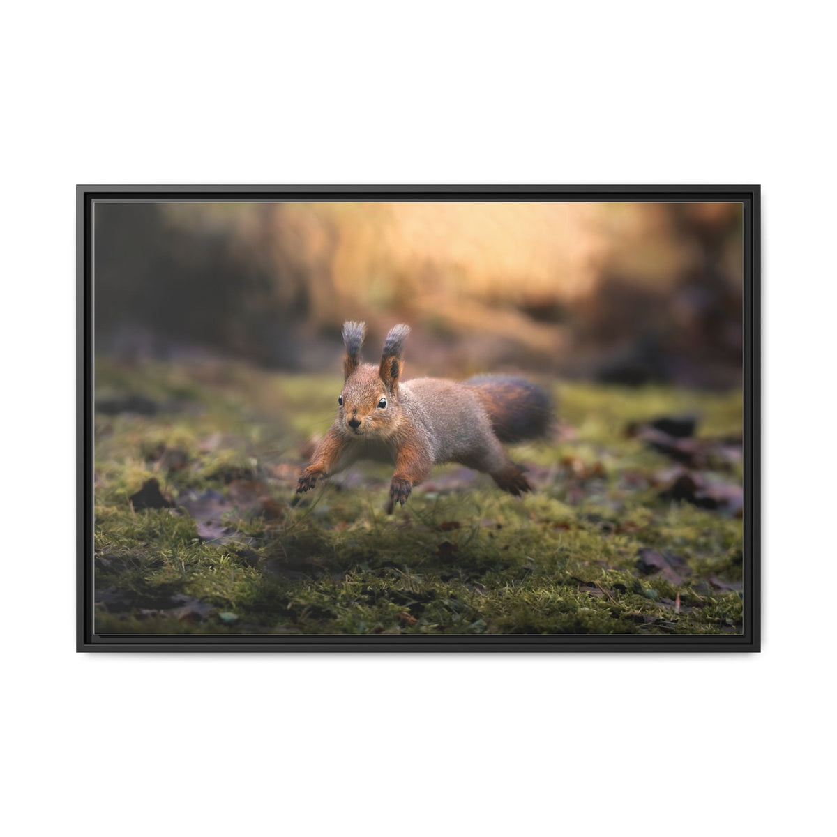Framed Matte Canvas – Red Squirrel in Mossy Forest Wall Art