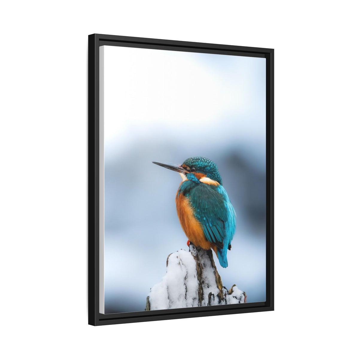 Framed Kingfisher Canvas Print — Matte Nature Wall Art