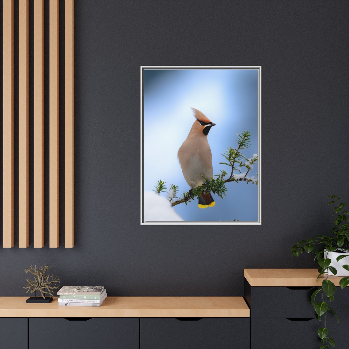 Bohemian Waxwing