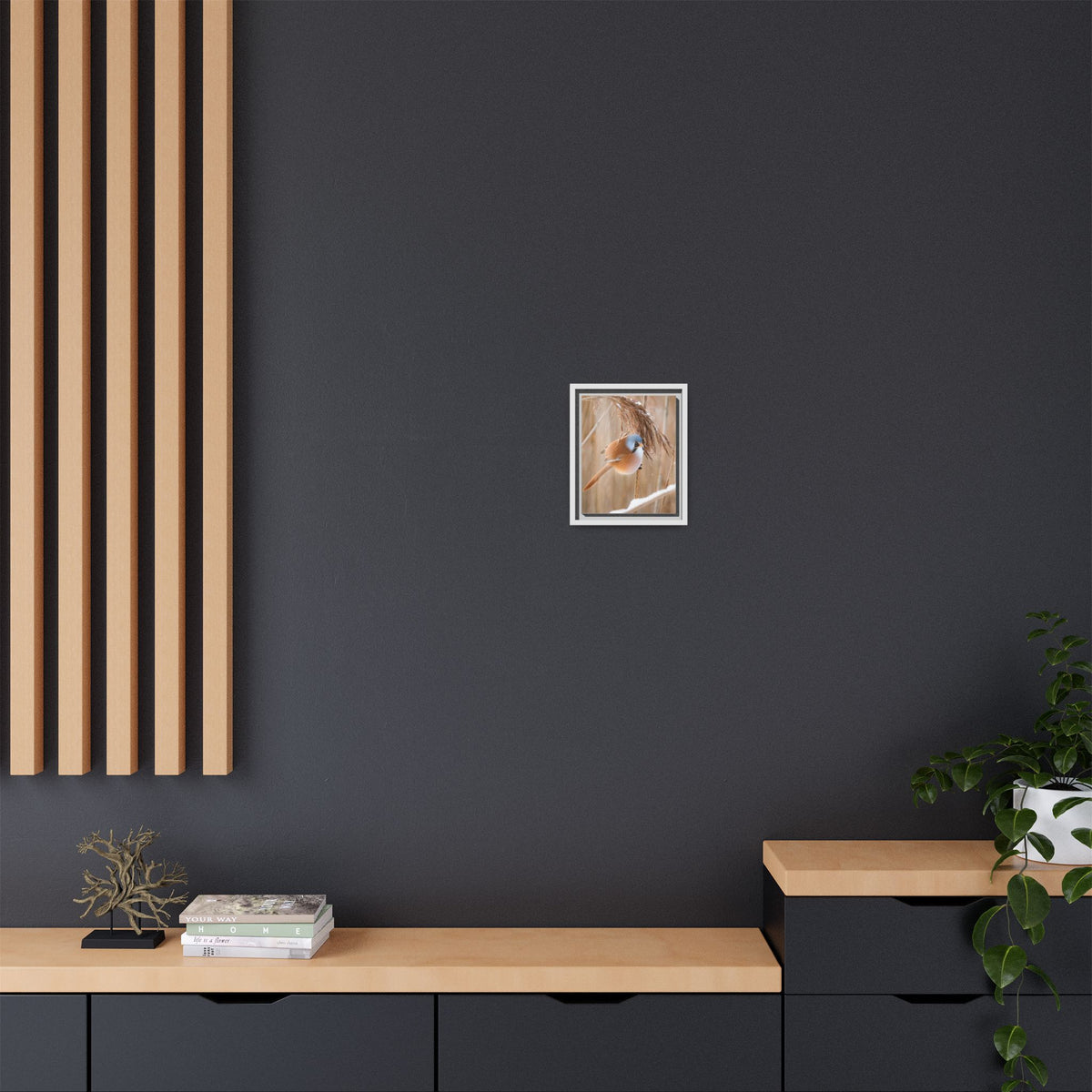 Framed Matte Canvas - Bearded Reedling Bird Photography (Winter Marsh)