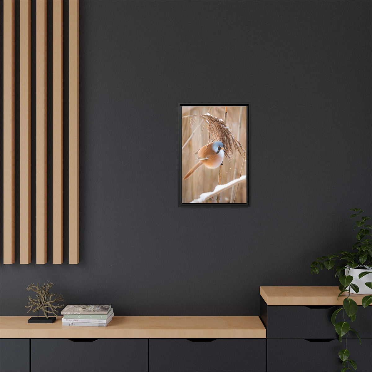 Framed Matte Canvas - Bearded Reedling Bird Photography (Winter Marsh)