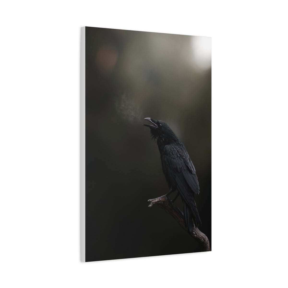 Raven Perched Matte Canvas Wall Art — Moody Dark Nature Photography