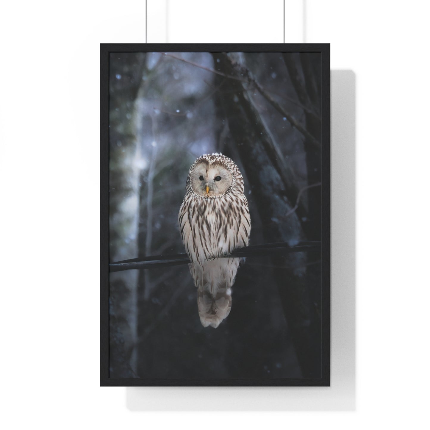 Winter Owl