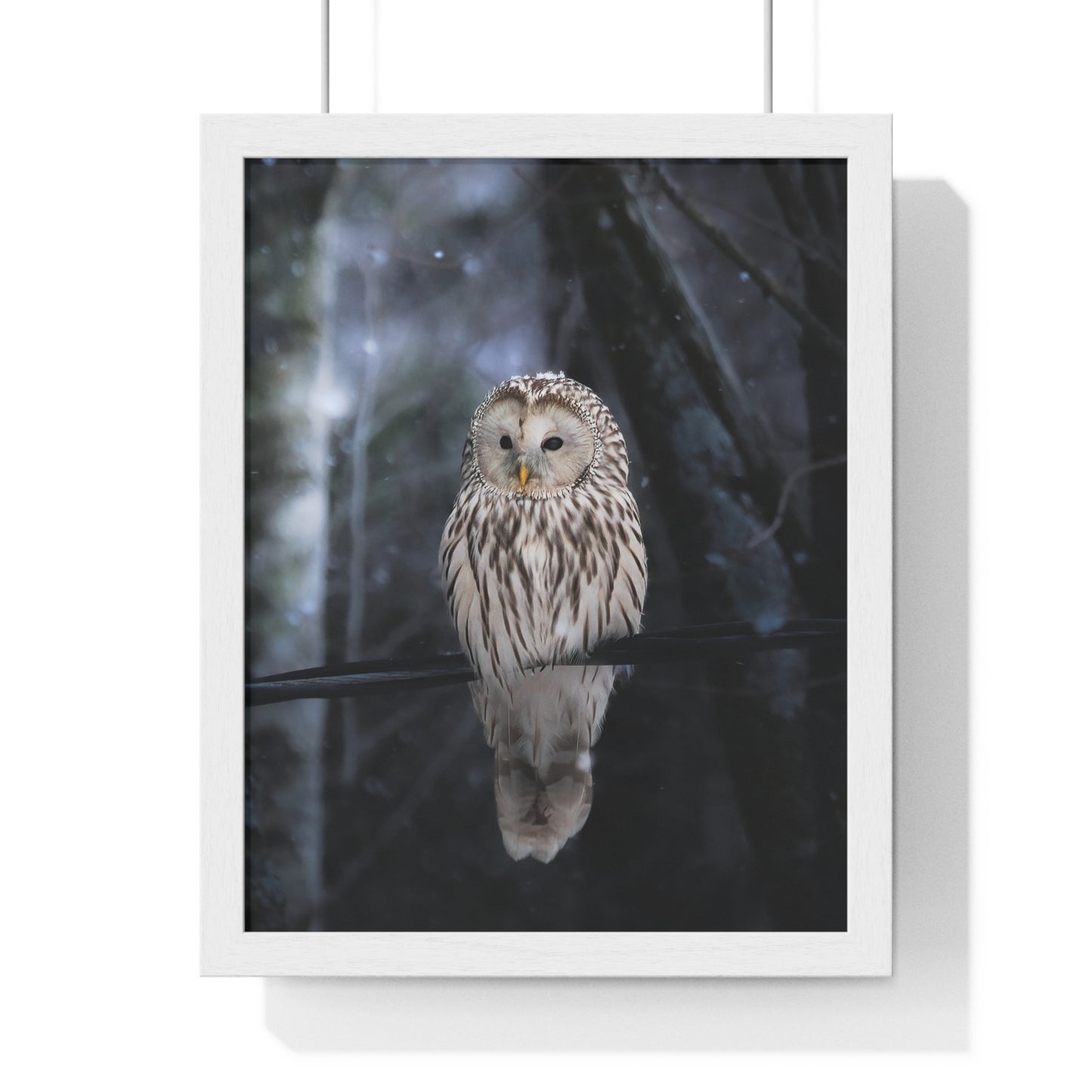 Winter Owl