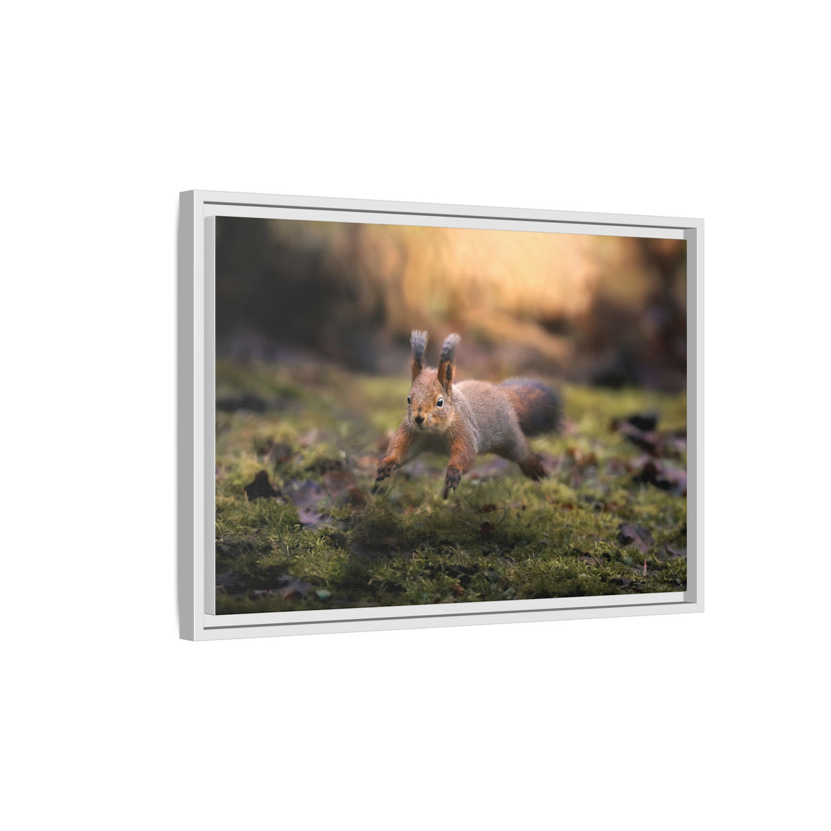 Framed Matte Canvas – Red Squirrel in Mossy Forest Wall Art