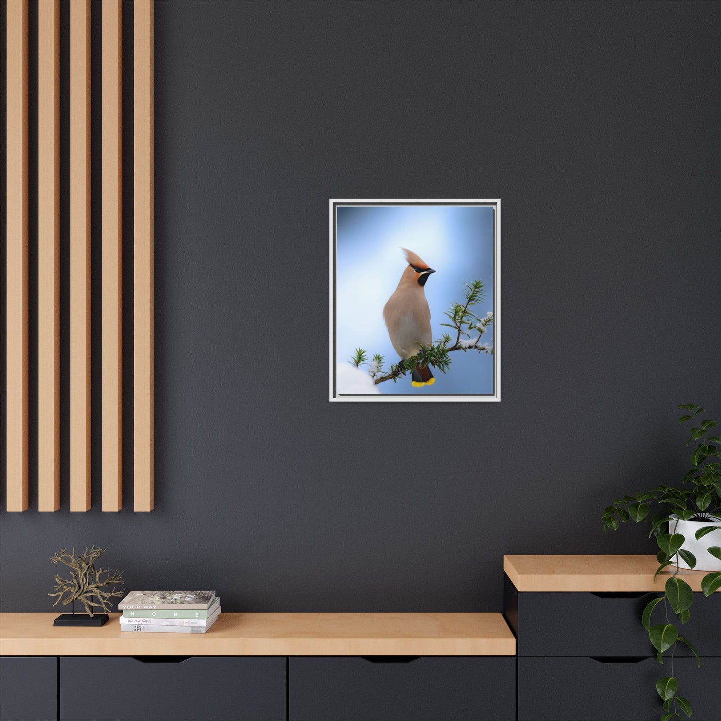 Bohemian Waxwing