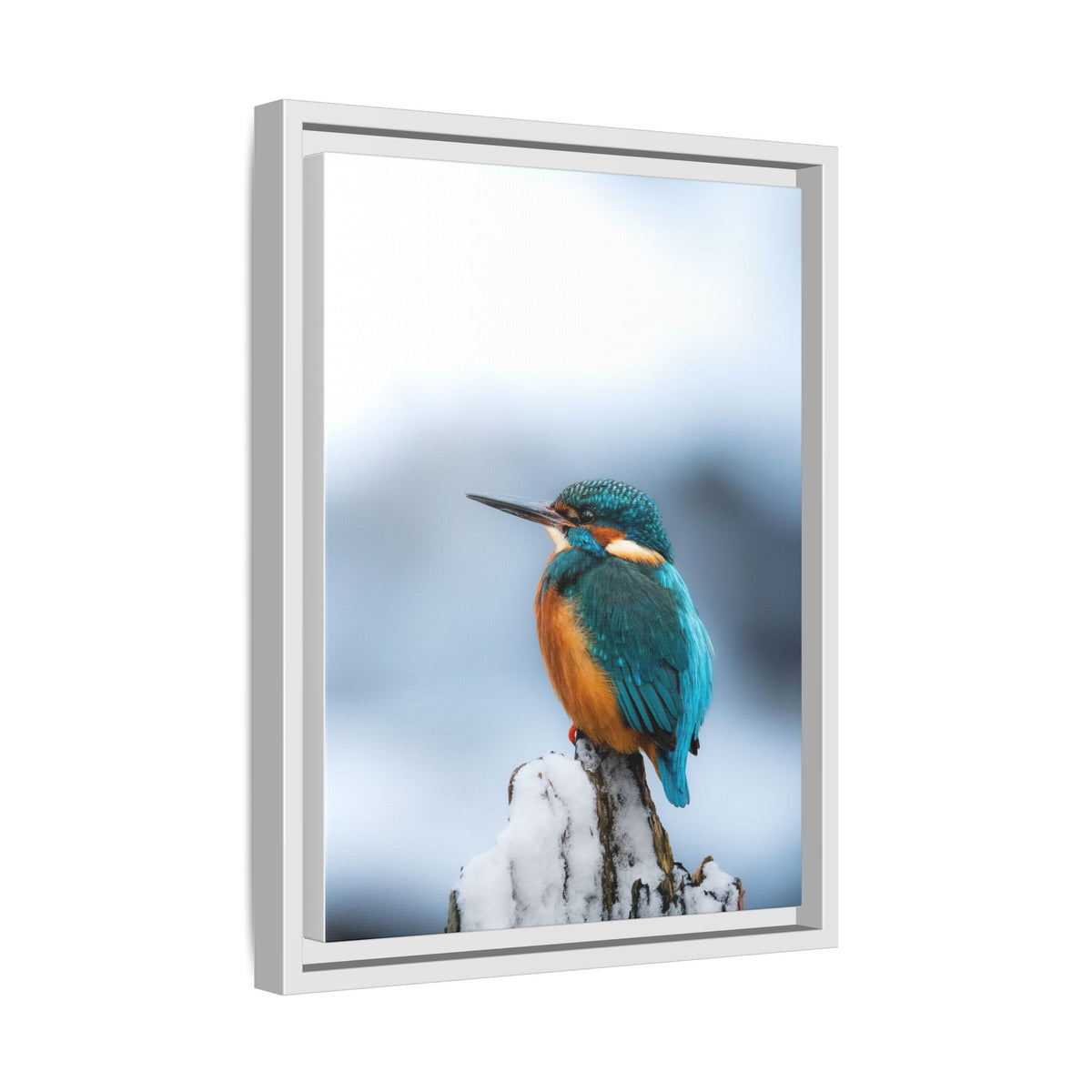 Framed Kingfisher Canvas Print — Matte Nature Wall Art